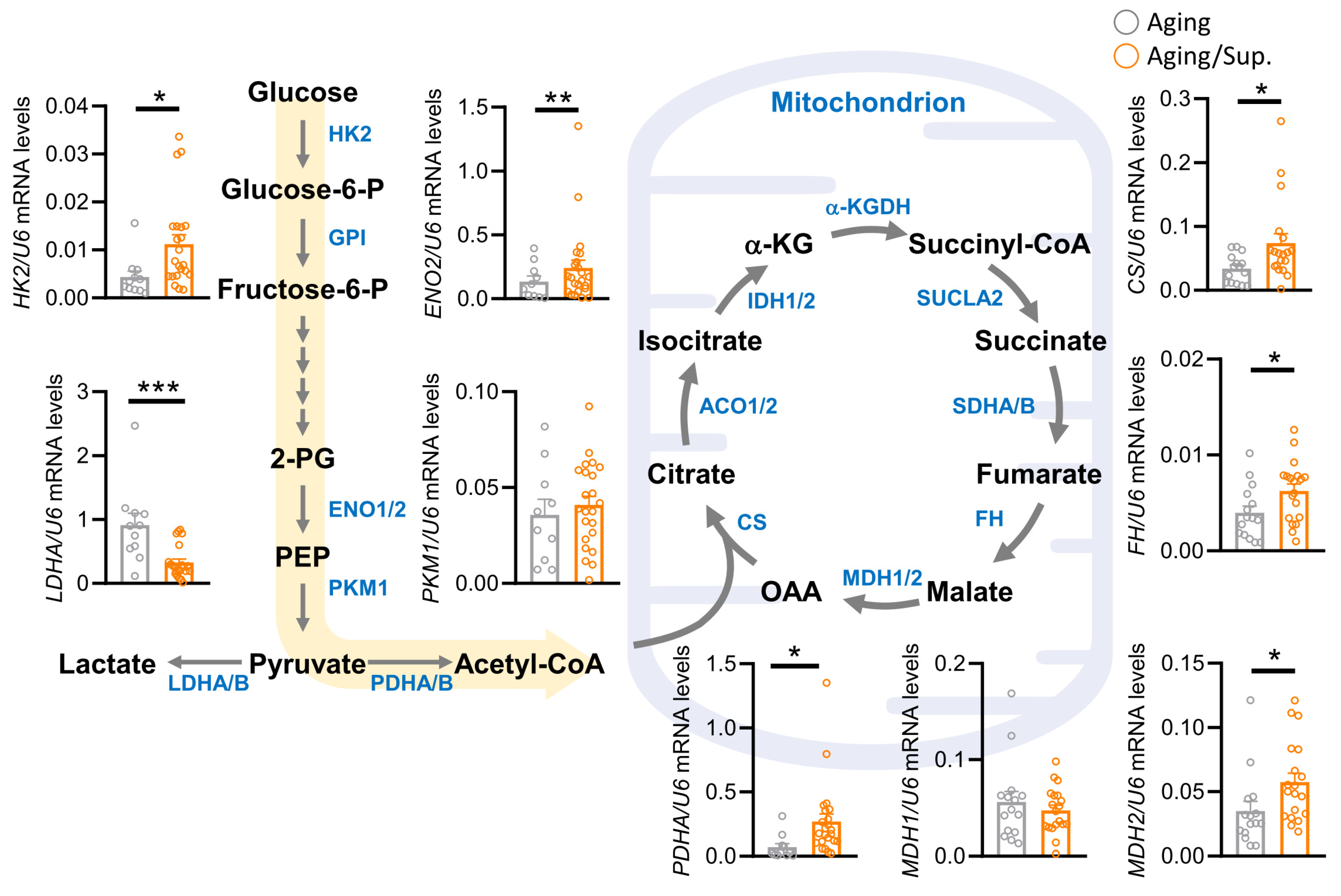 Nutrients 15 02461 g007