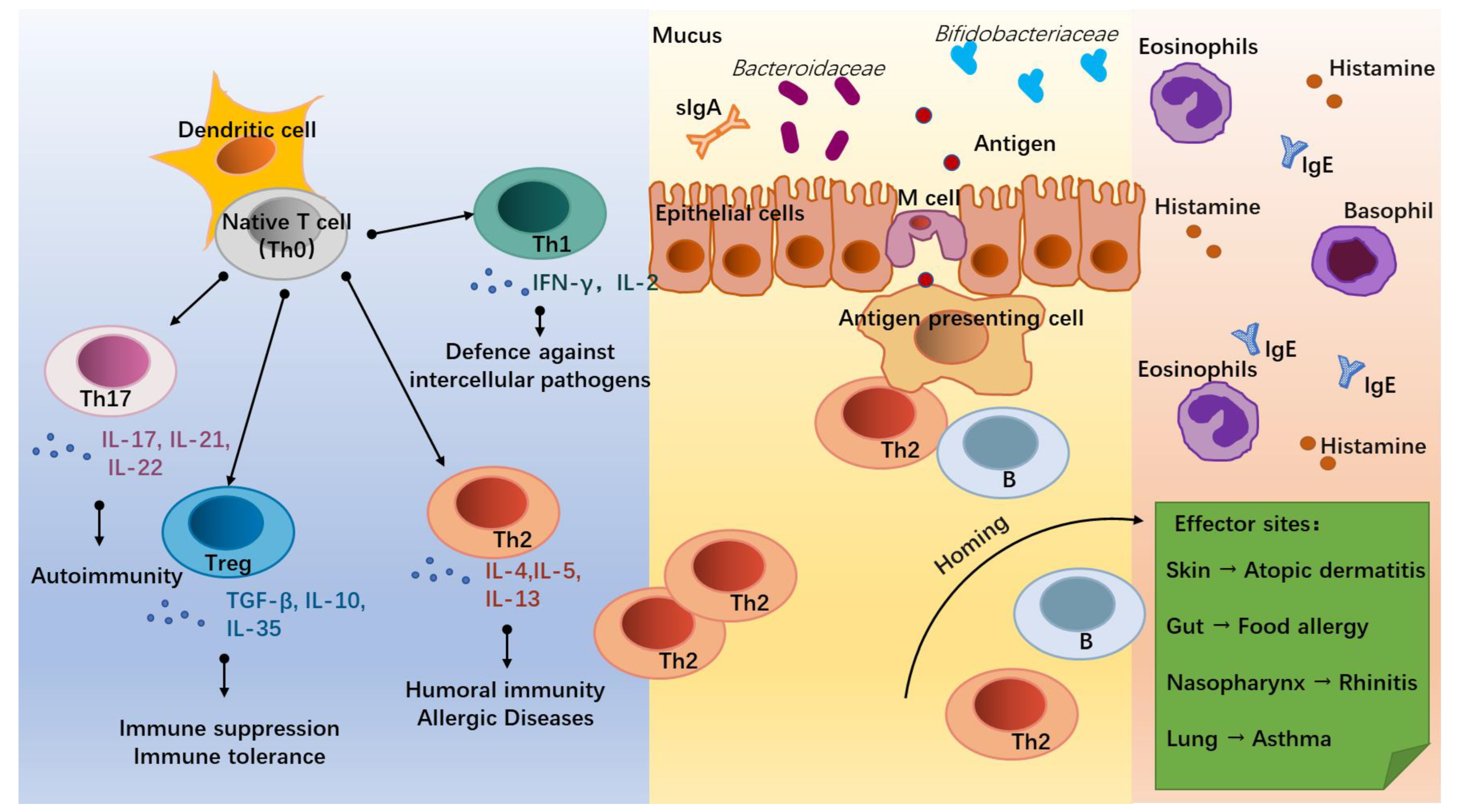 Nutrients 15 02483 g001