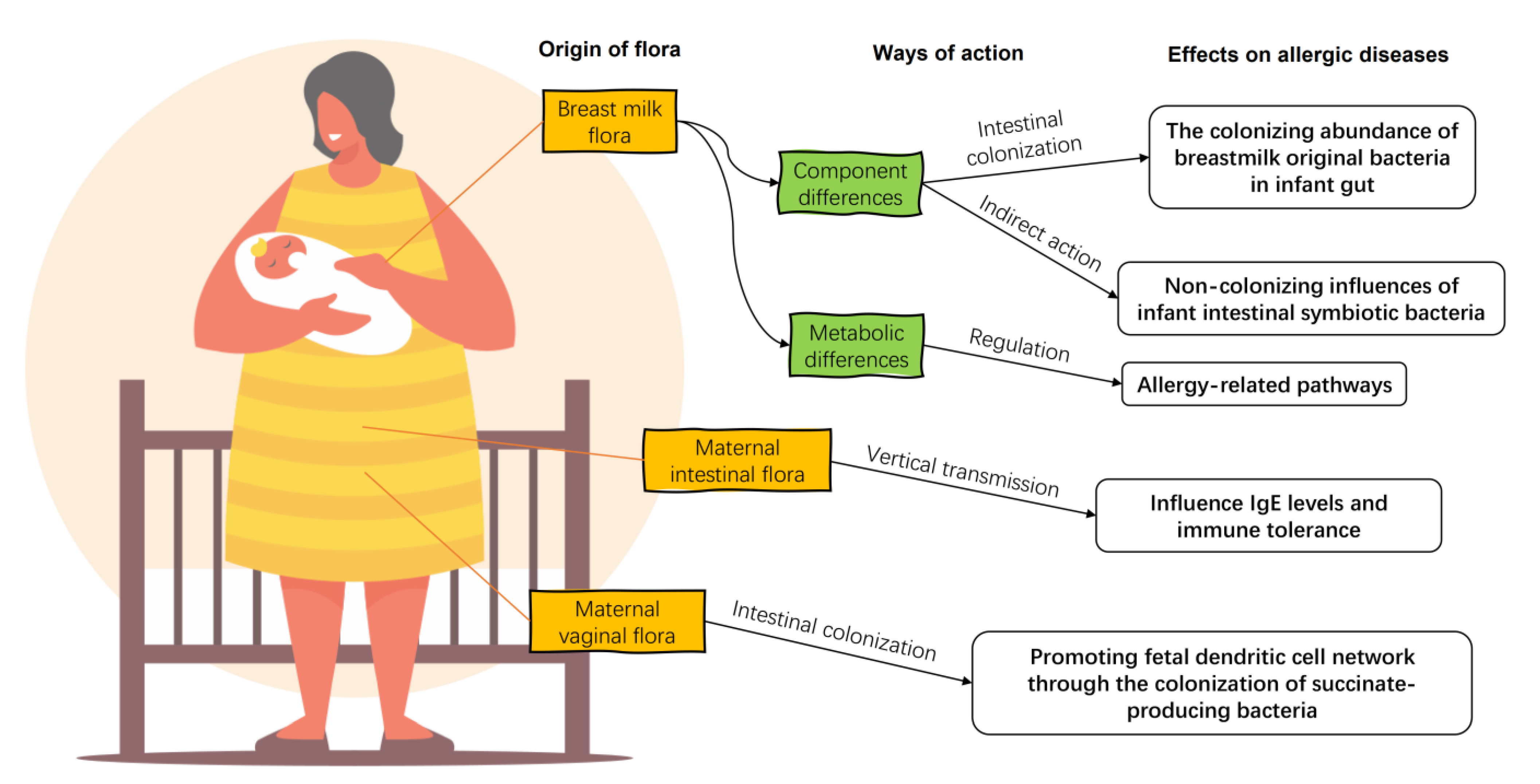 Nutrients 15 02483 g002
