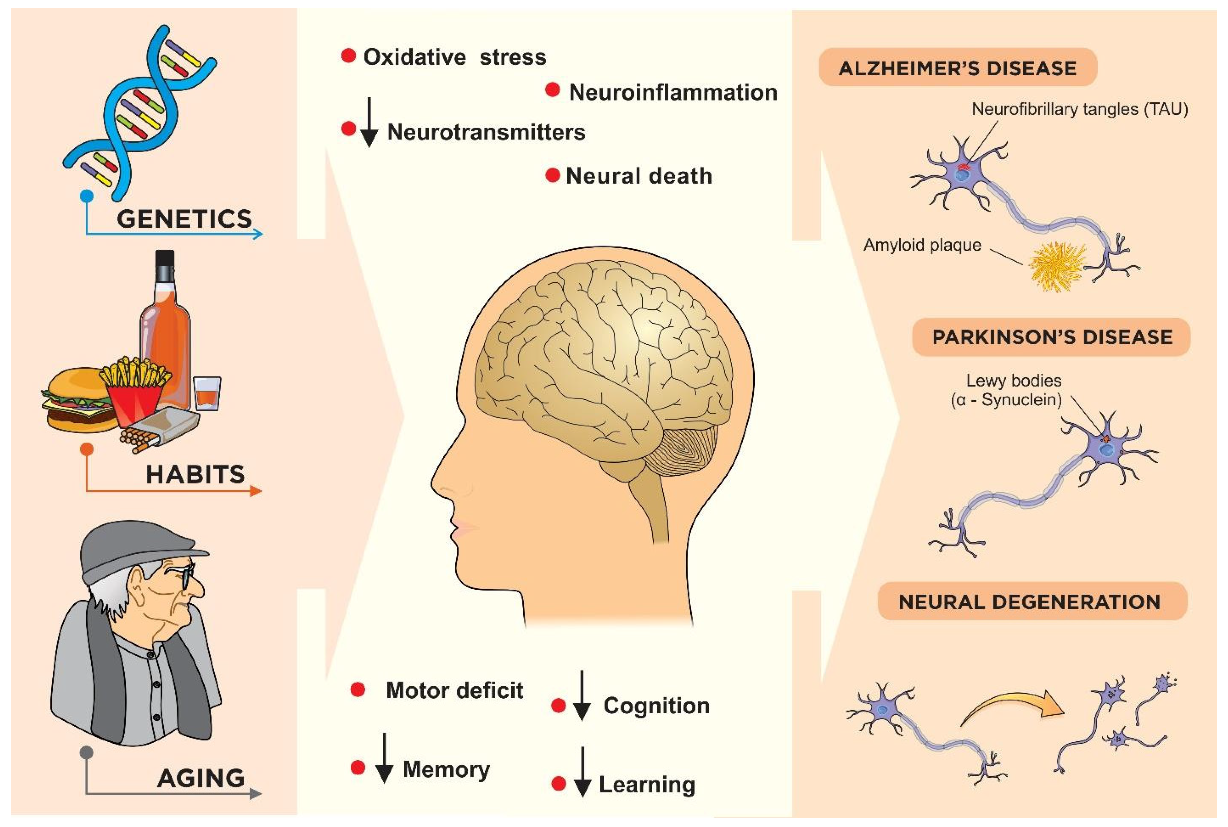 Nutrients 15 02502 g002 Nutrients 15 02502 g002