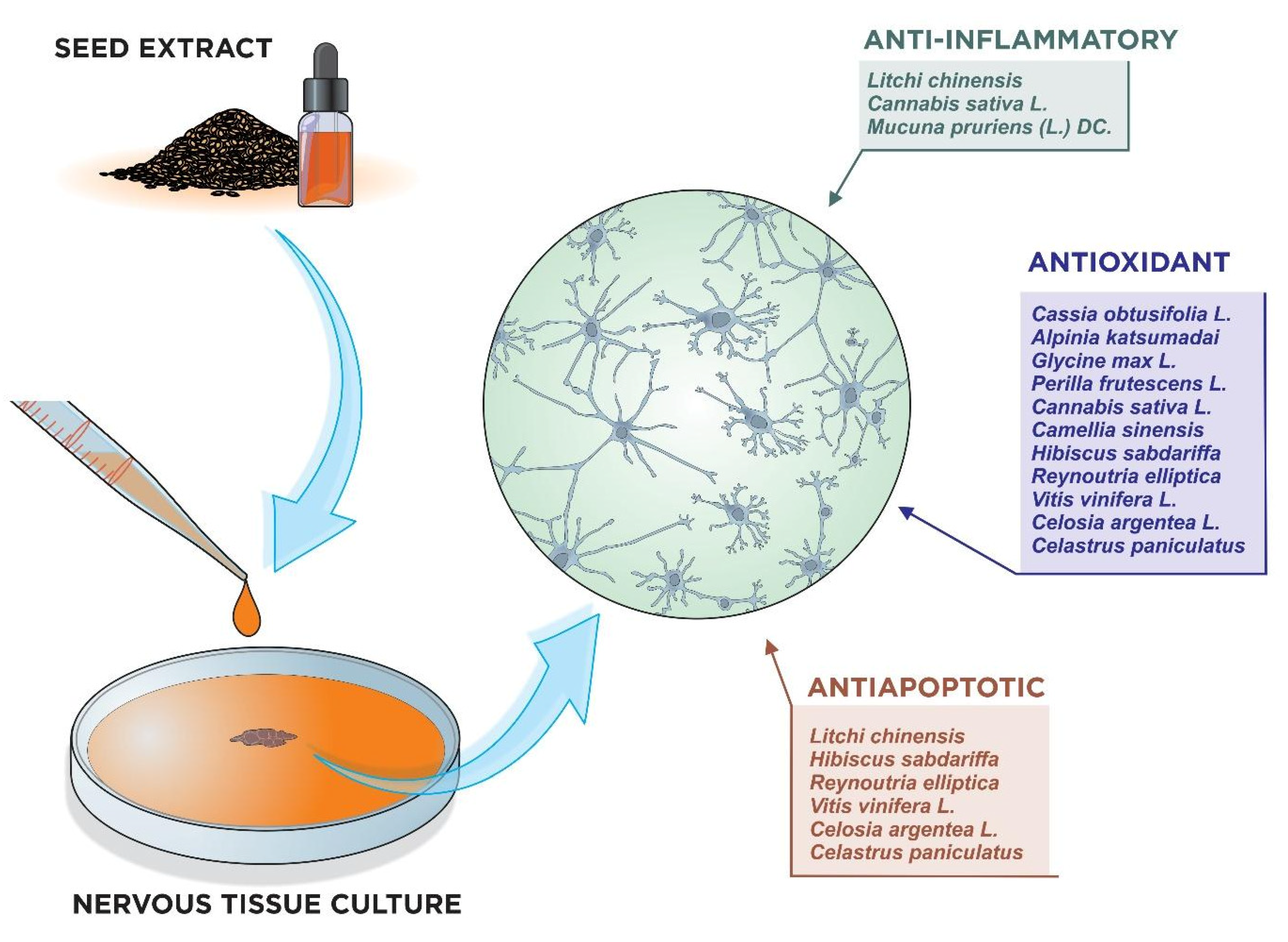Nutrients 15 02502 g003 Nutrients 15 02502 g003