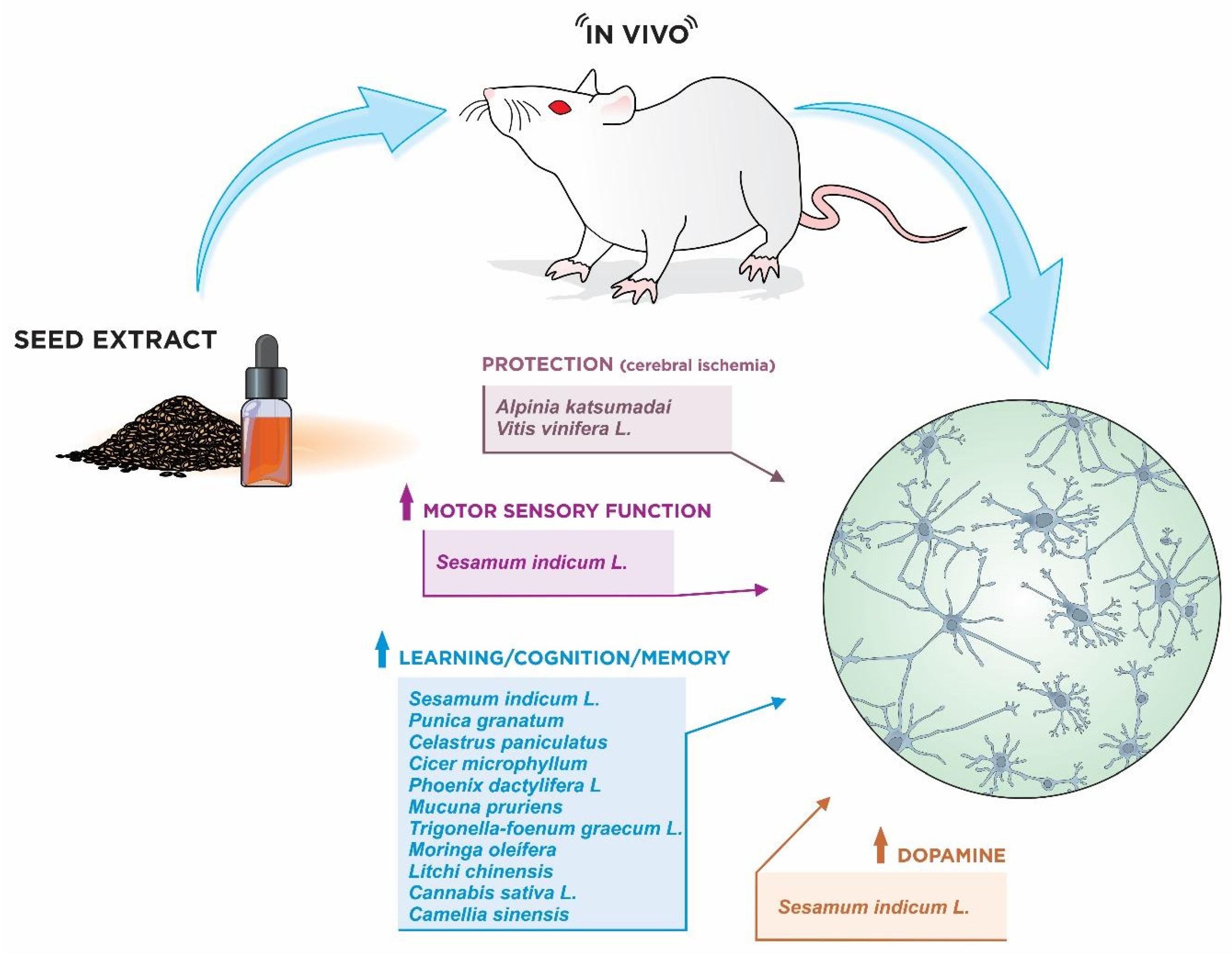 Nutrients 15 02502 g004 Nutrients 15 02502 g004