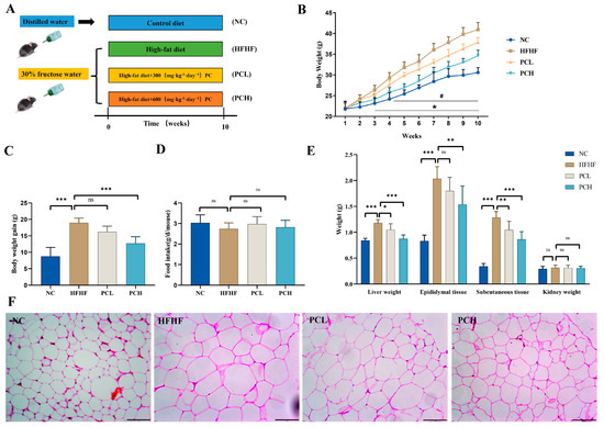 Nutrients 15 02507 g001