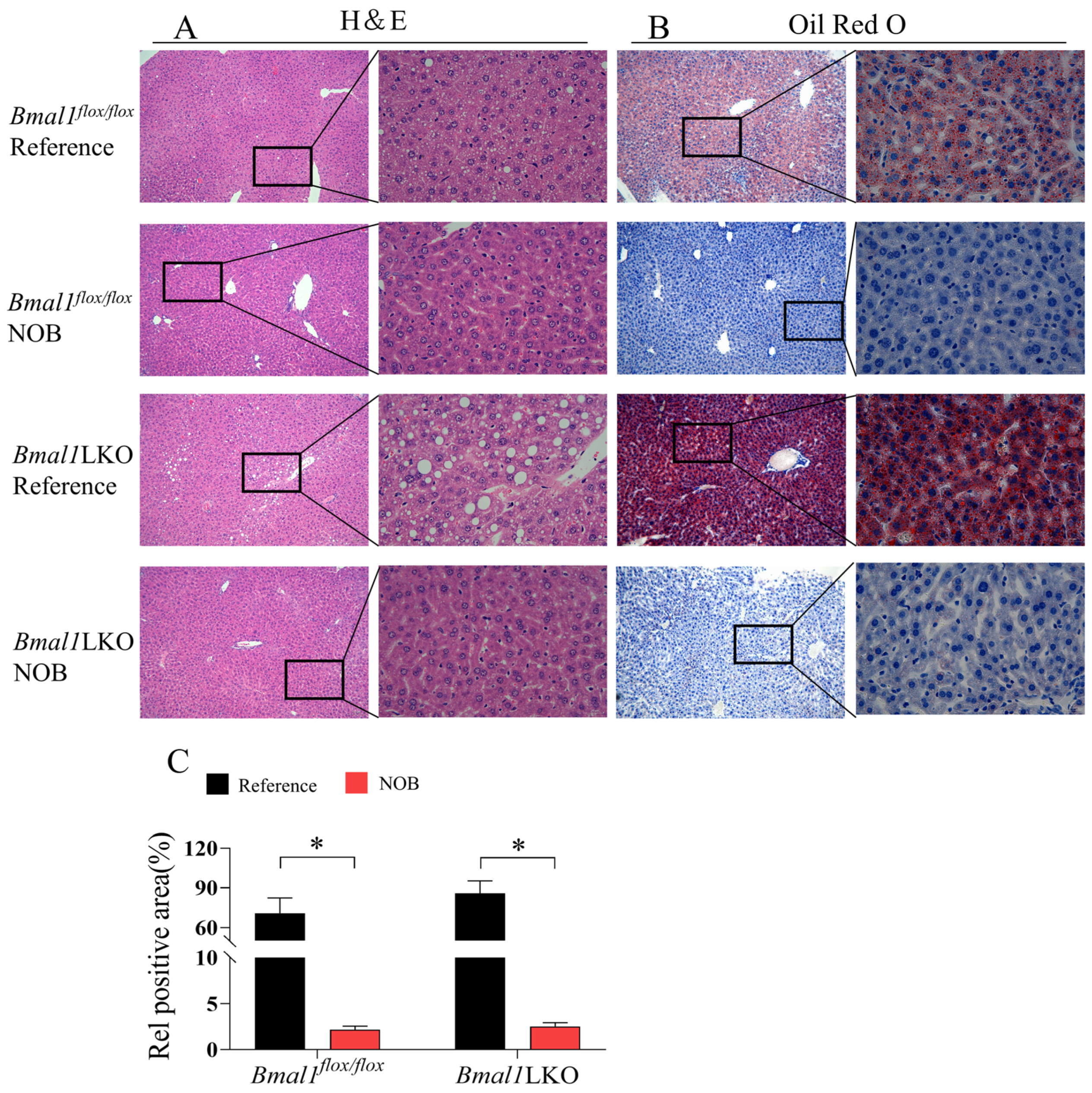 Nutrients 15 02547 g004 Nutrients 15 02547 g004