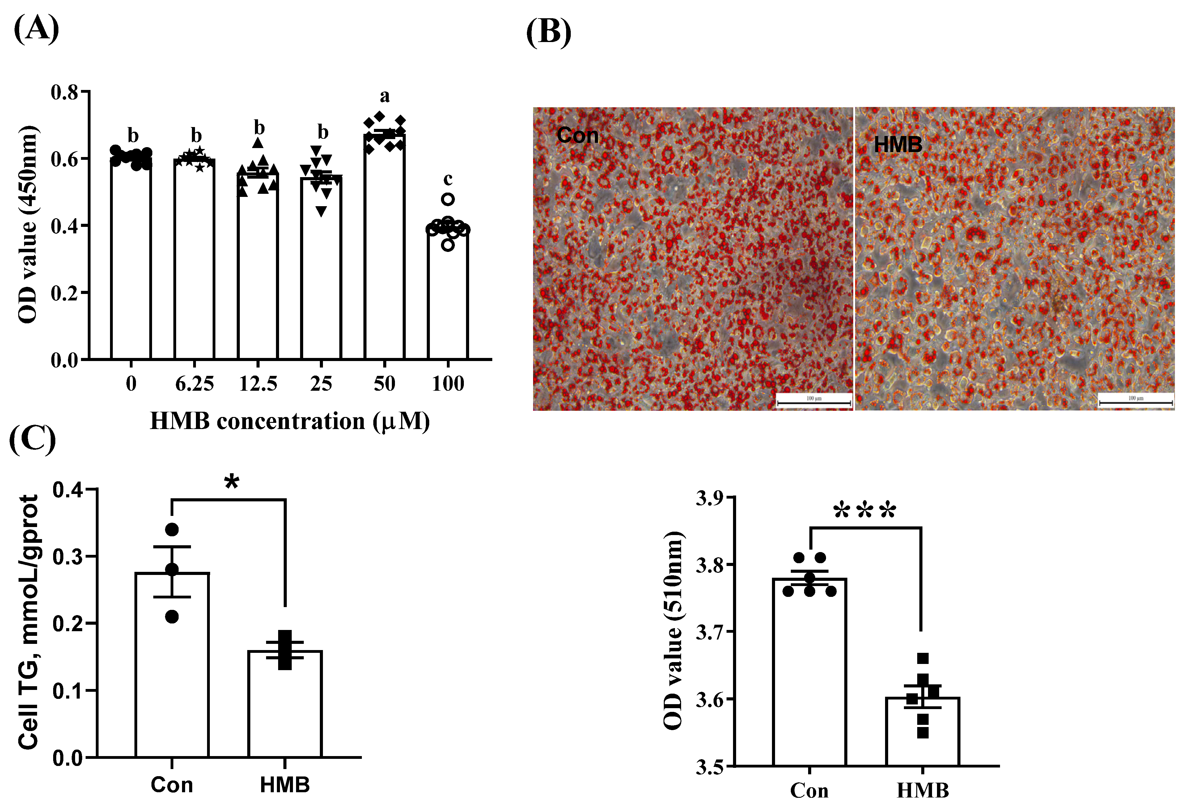 Nutrients 15 02550 g001 Nutrients 15 02550 g001
