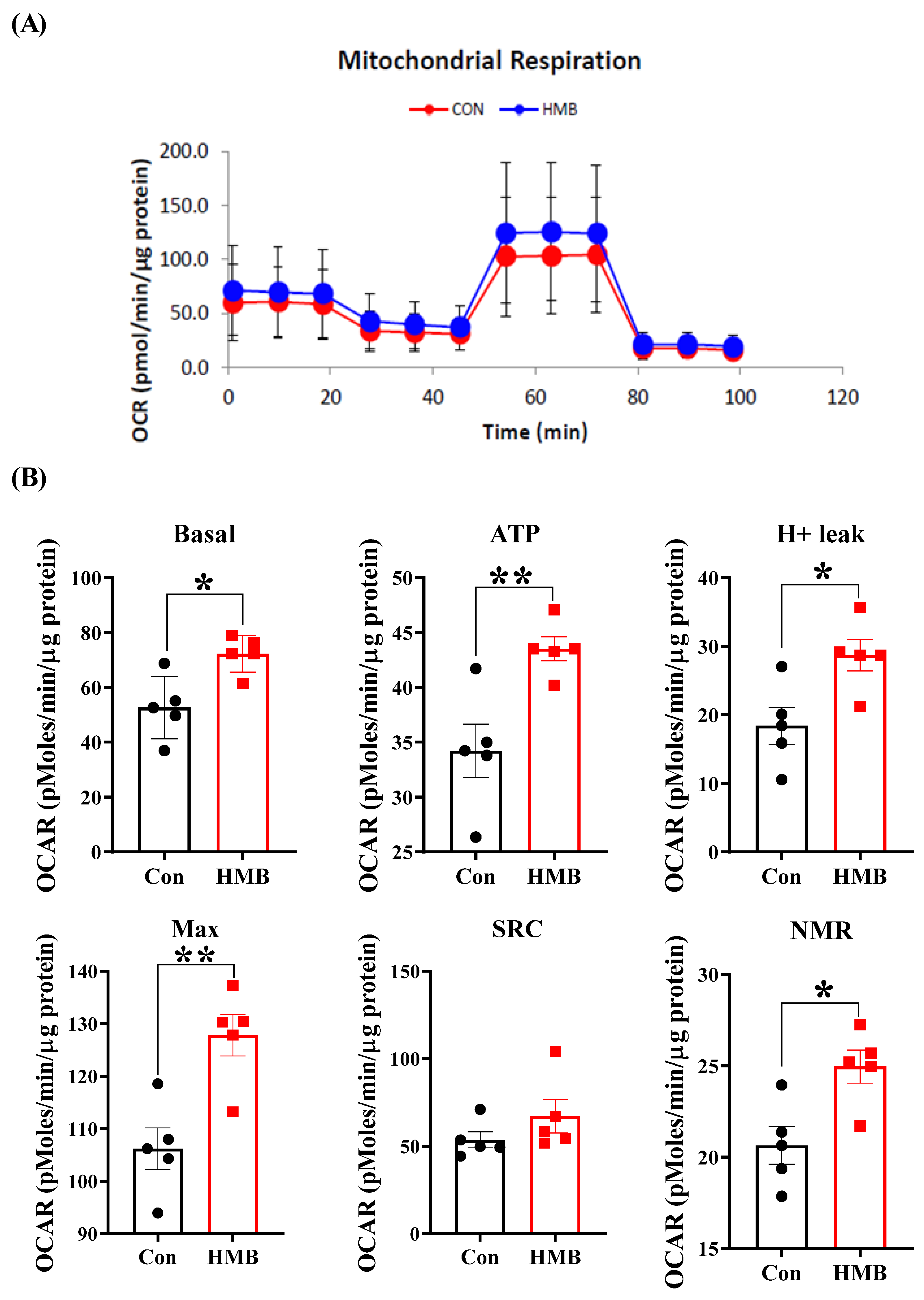 Nutrients 15 02550 g004 Nutrients 15 02550 g004