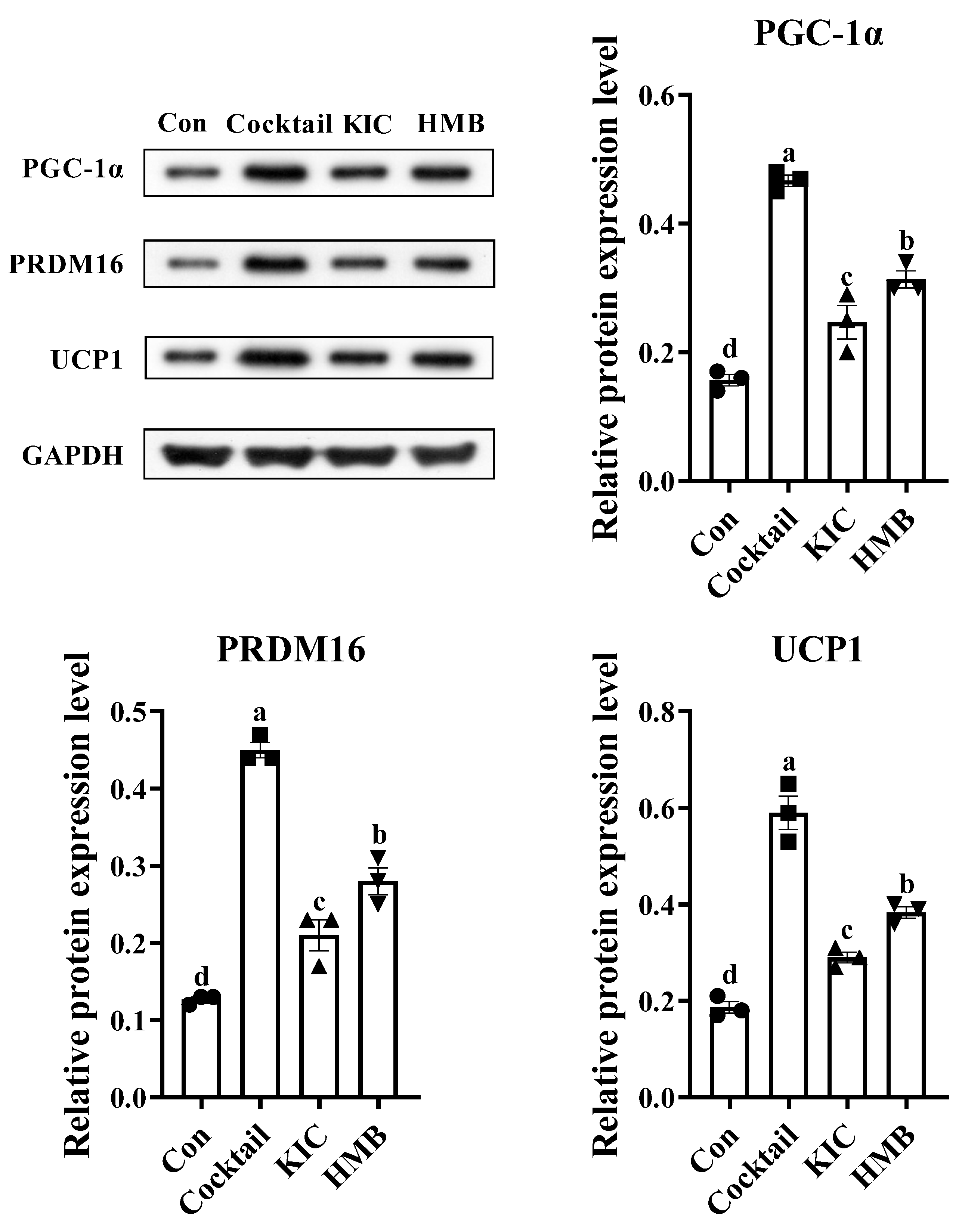 Nutrients 15 02550 g005 Nutrients 15 02550 g005