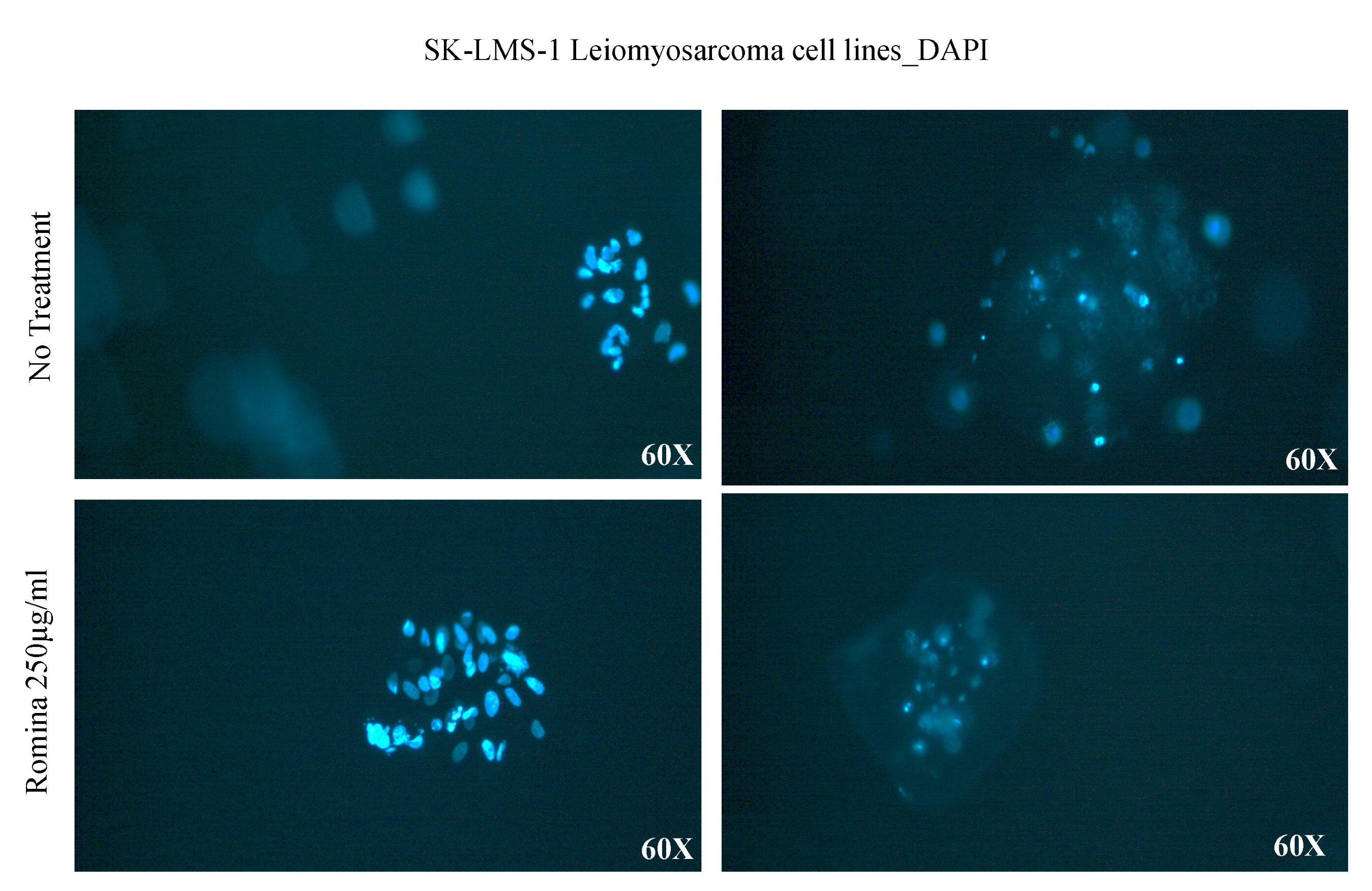 Nutrients 15 02557 g003