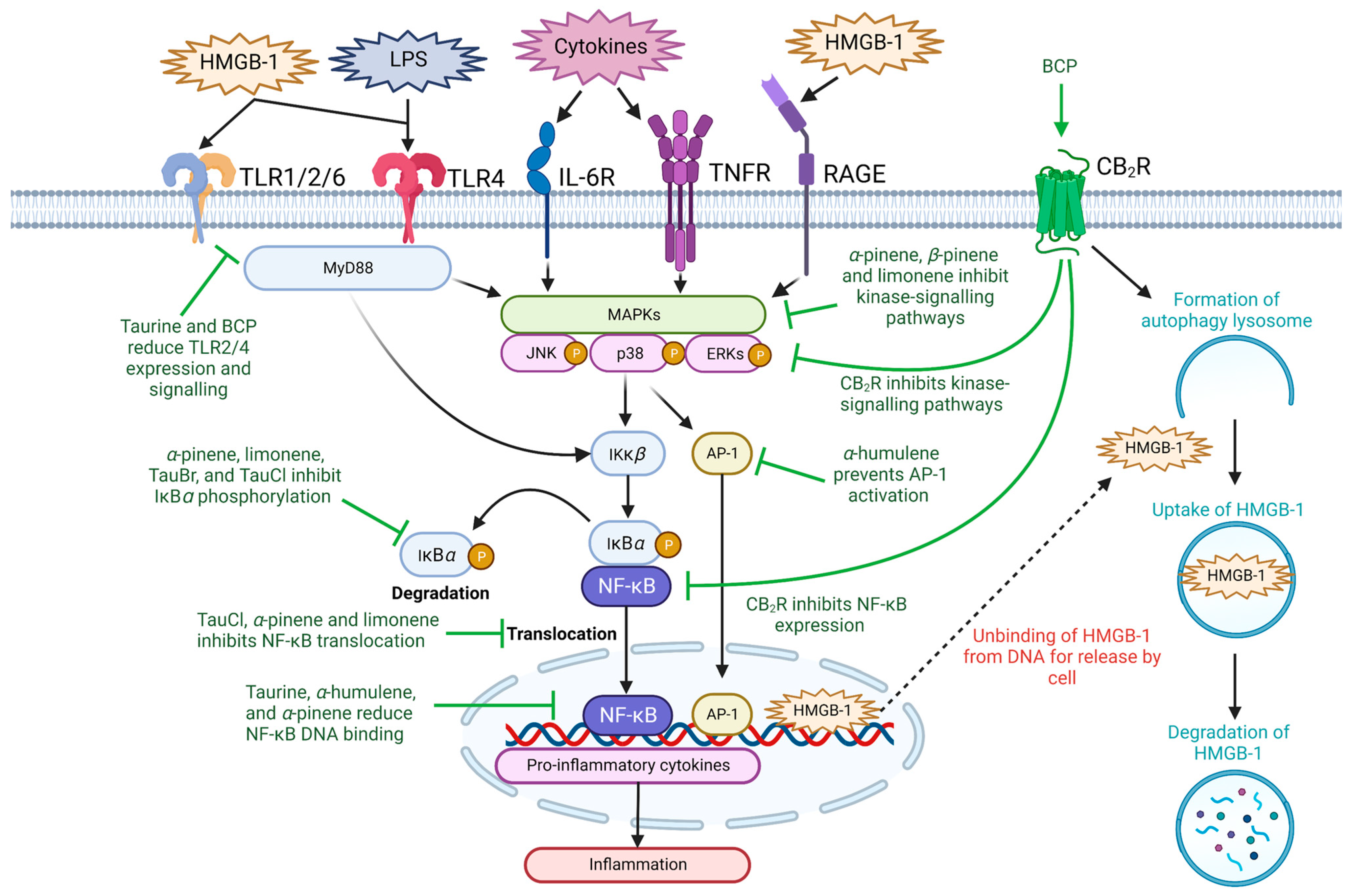 Nutrients 15 02562 g002