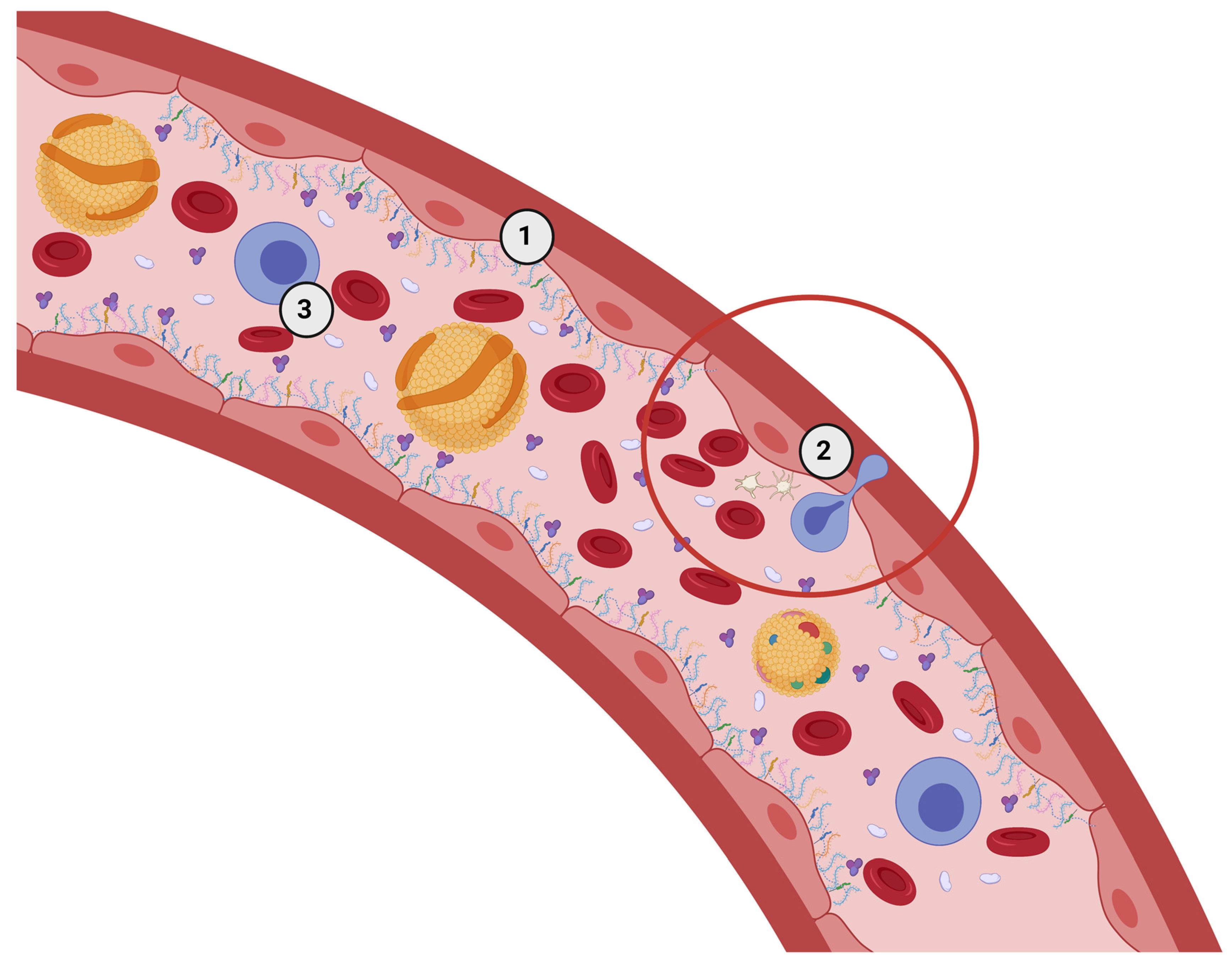 Nutrients 15 02573 g001