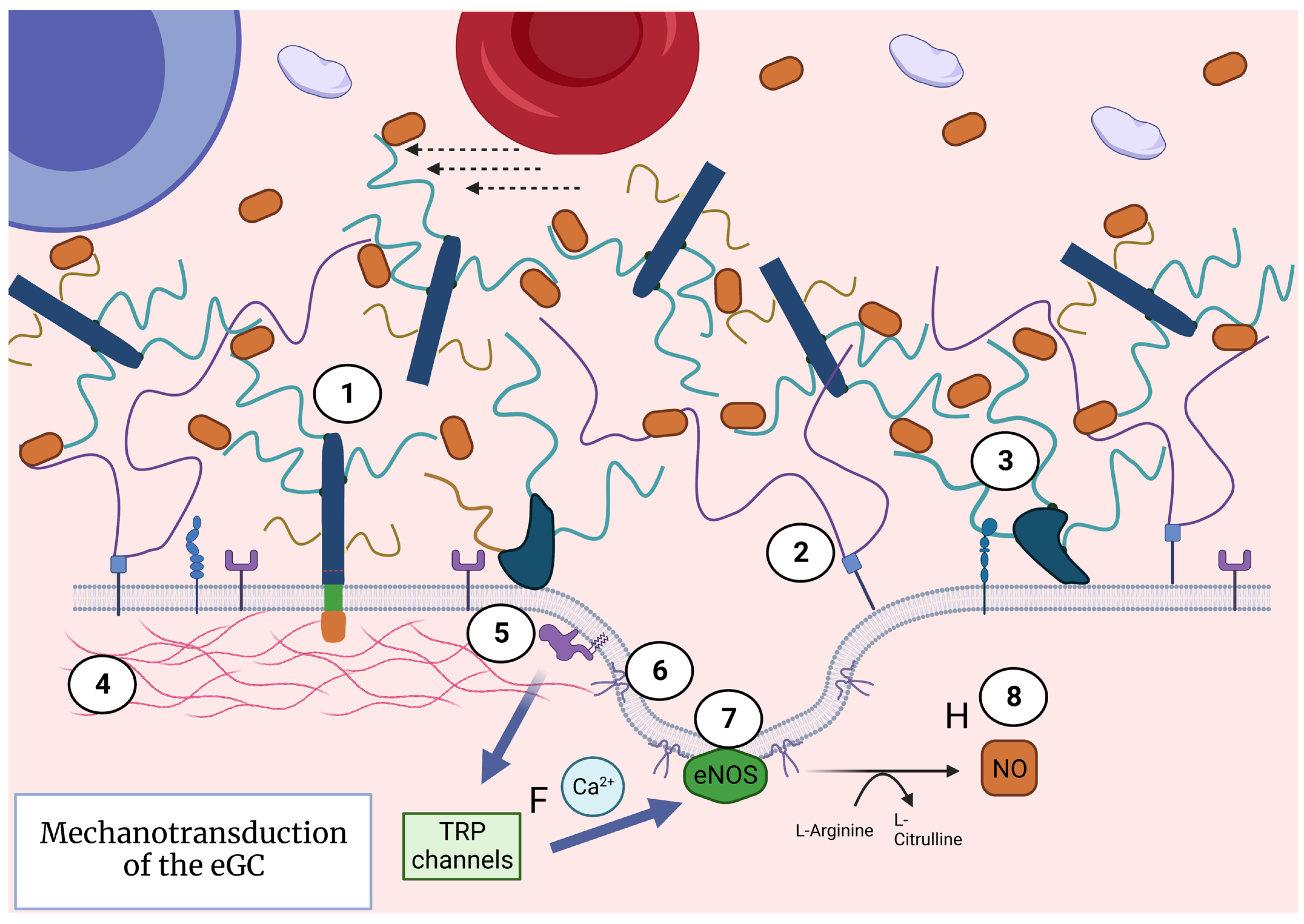 Nutrients 15 02573 g004