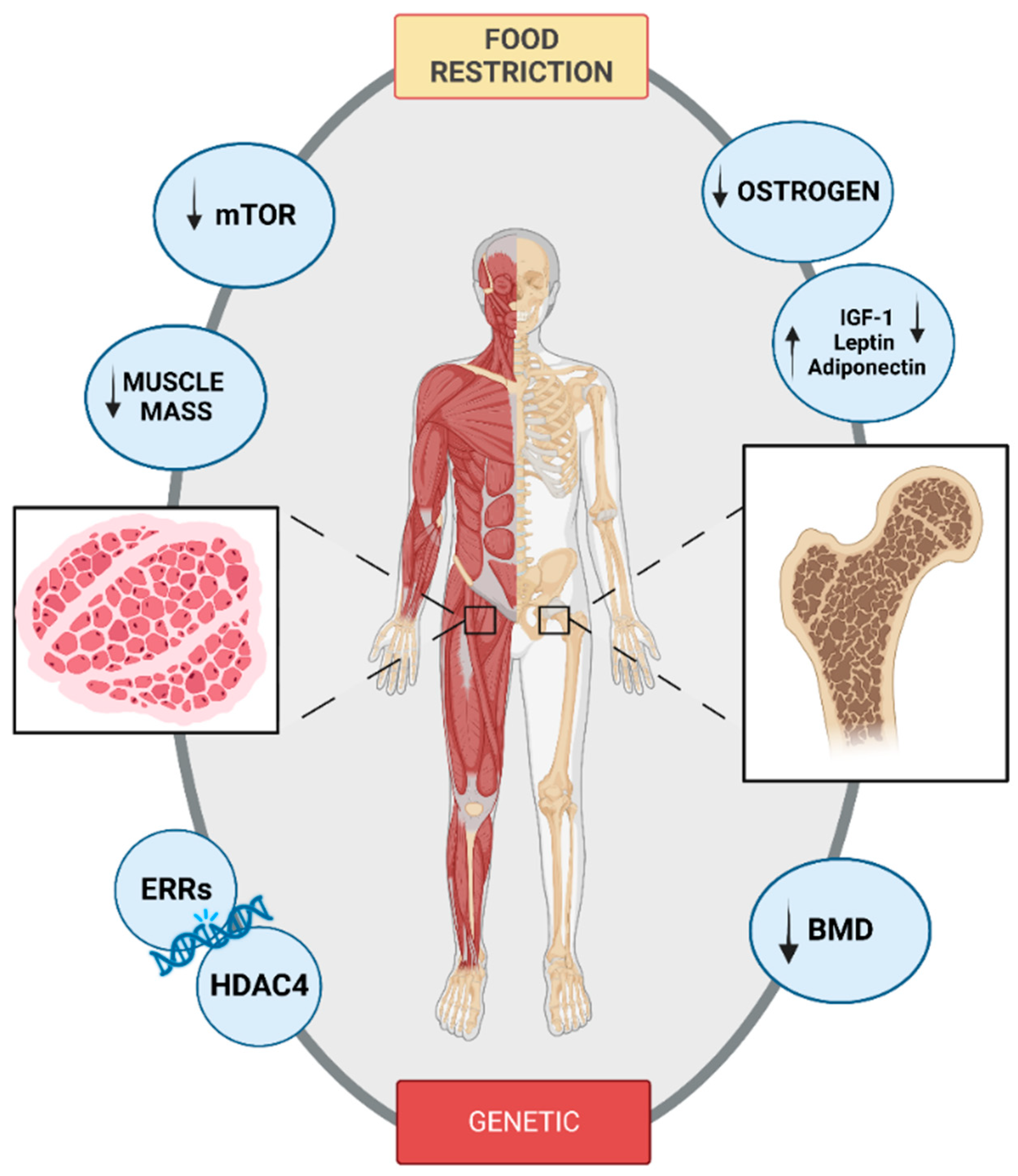 Nutrients 15 02594 g001 Nutrients 15 02594 g001