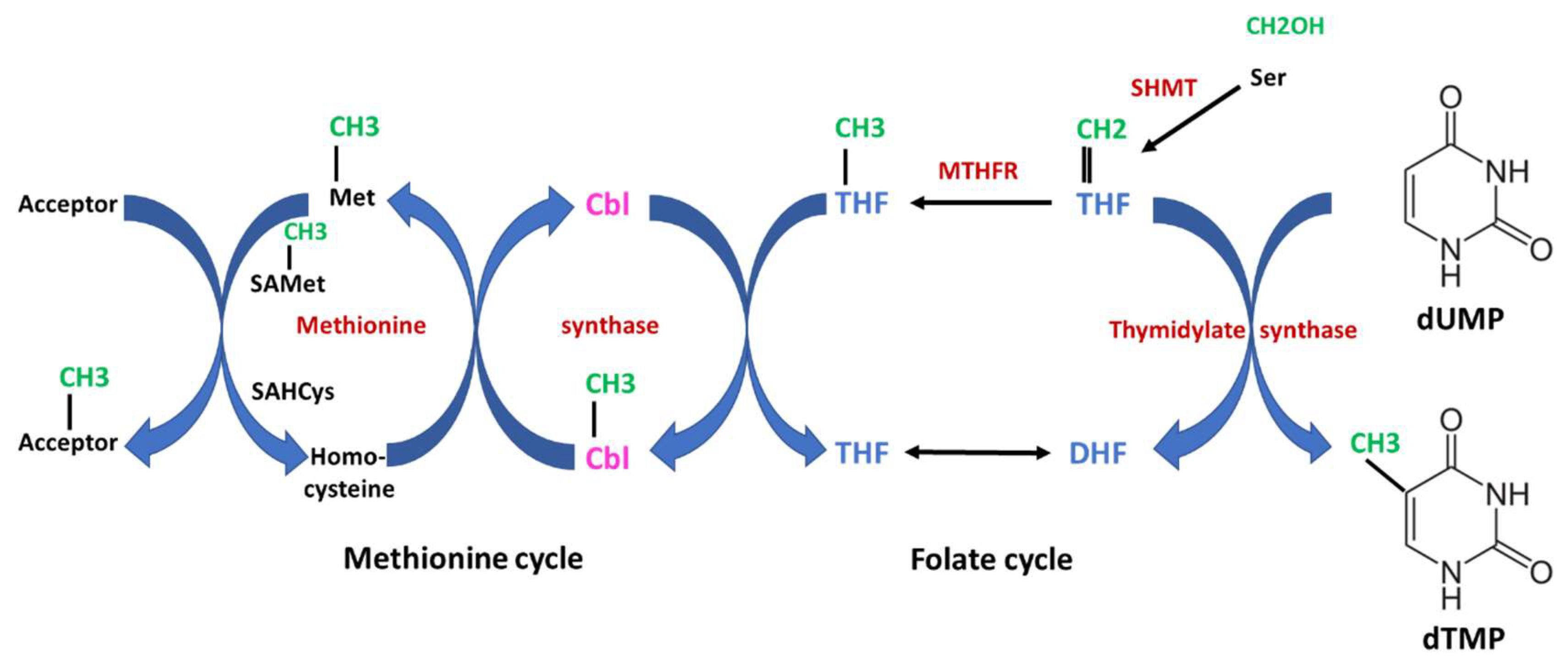 Nutrients 15 02597 g003