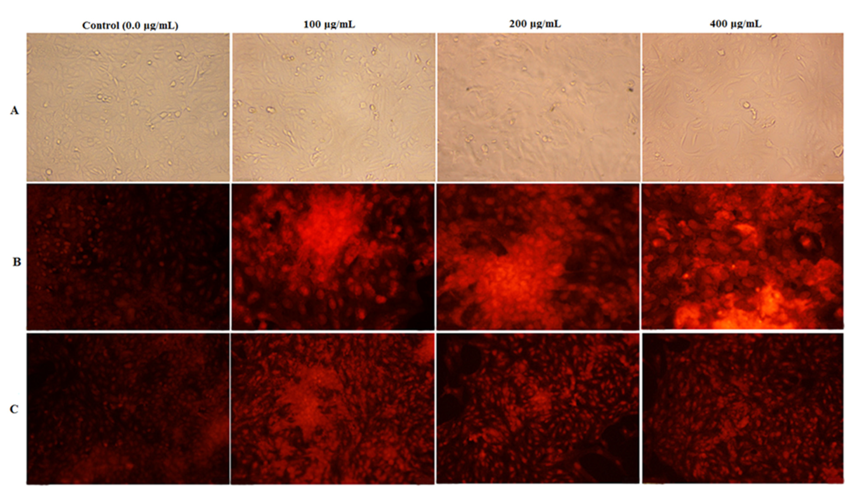 Nutrients 15 02614 g007