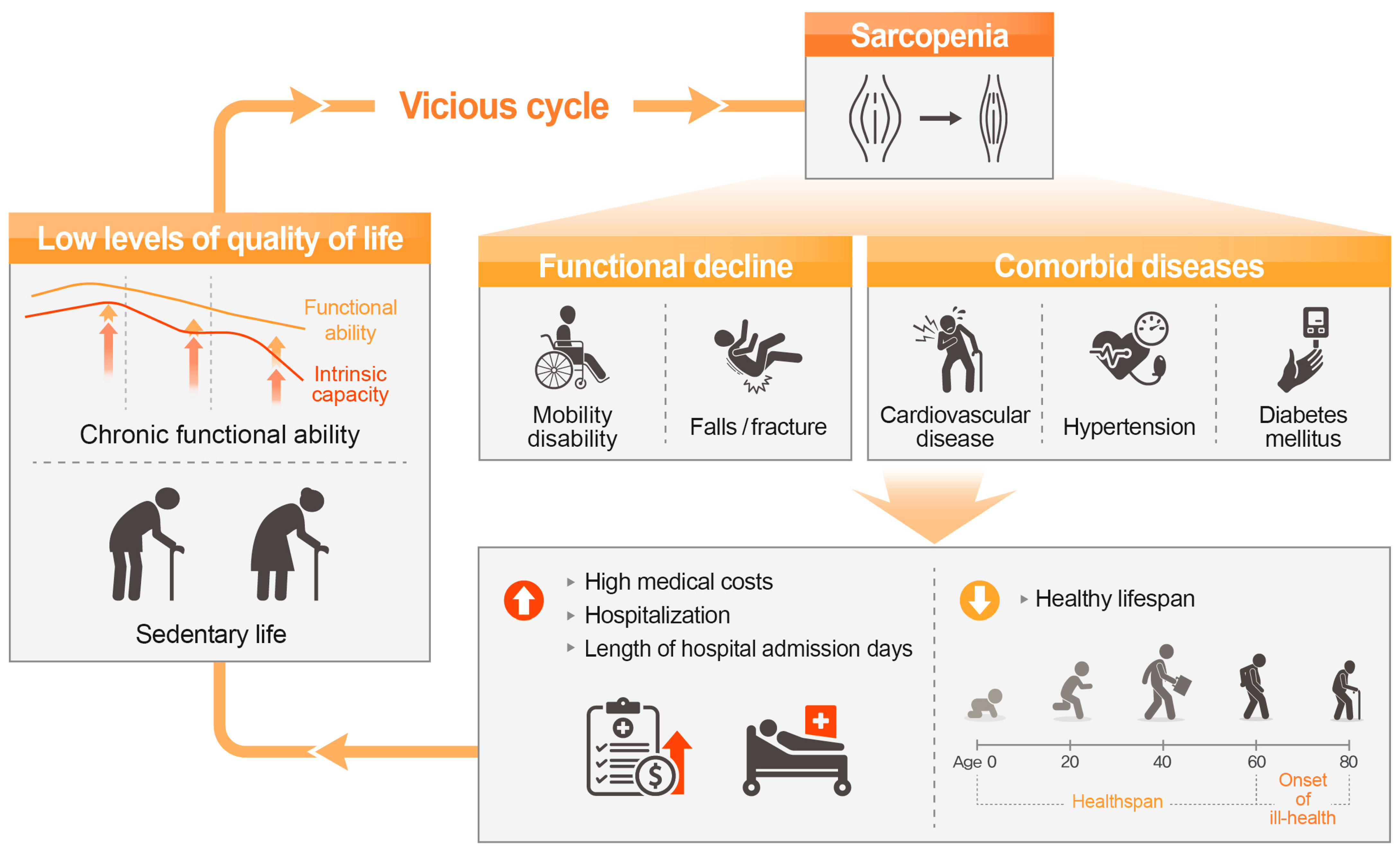 Nutrients 15 02625 g002