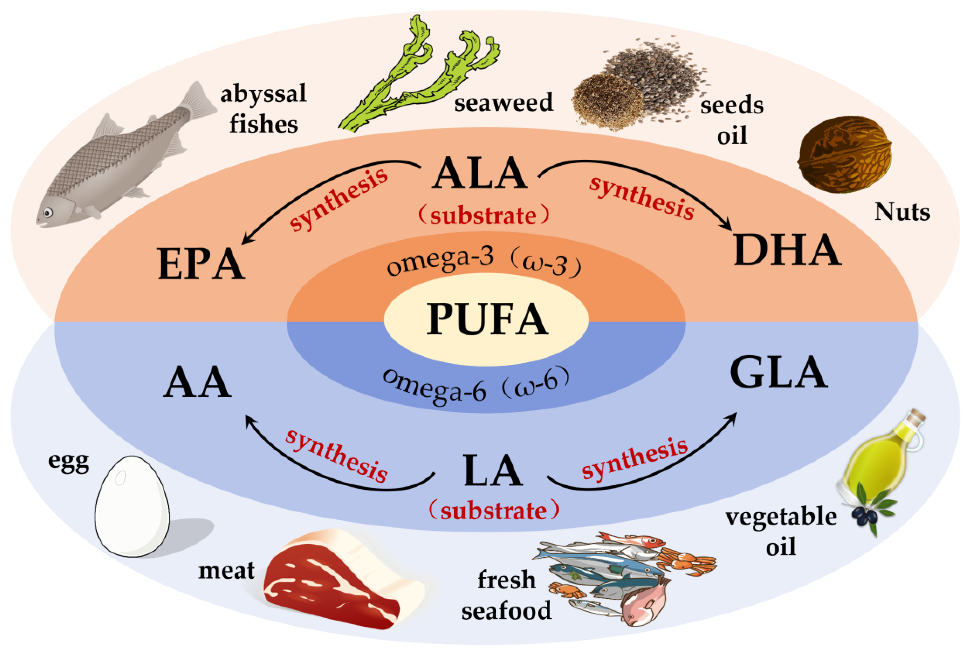 Nutrients 15 02633 g002