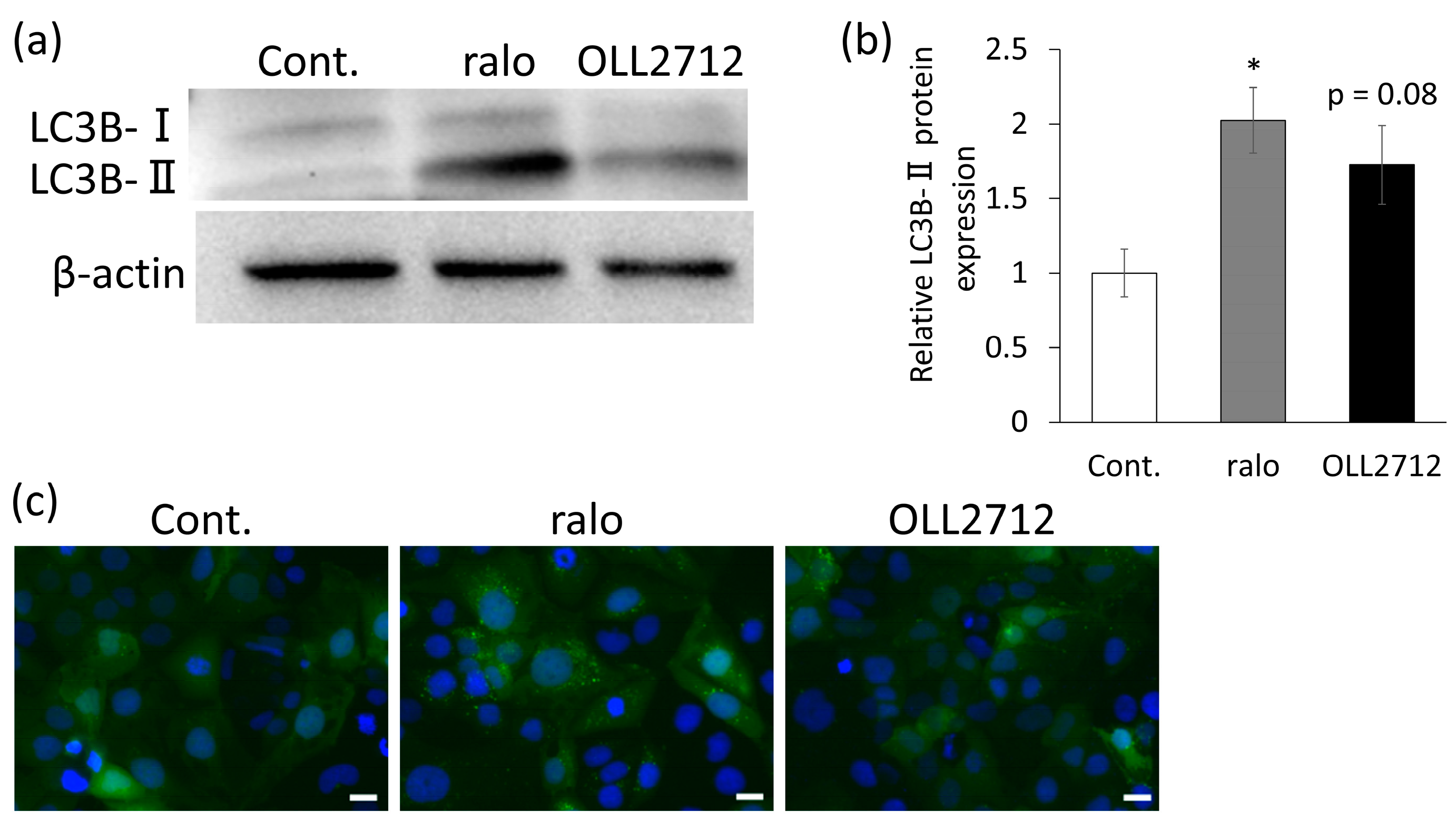 Nutrients 15 02655 g002