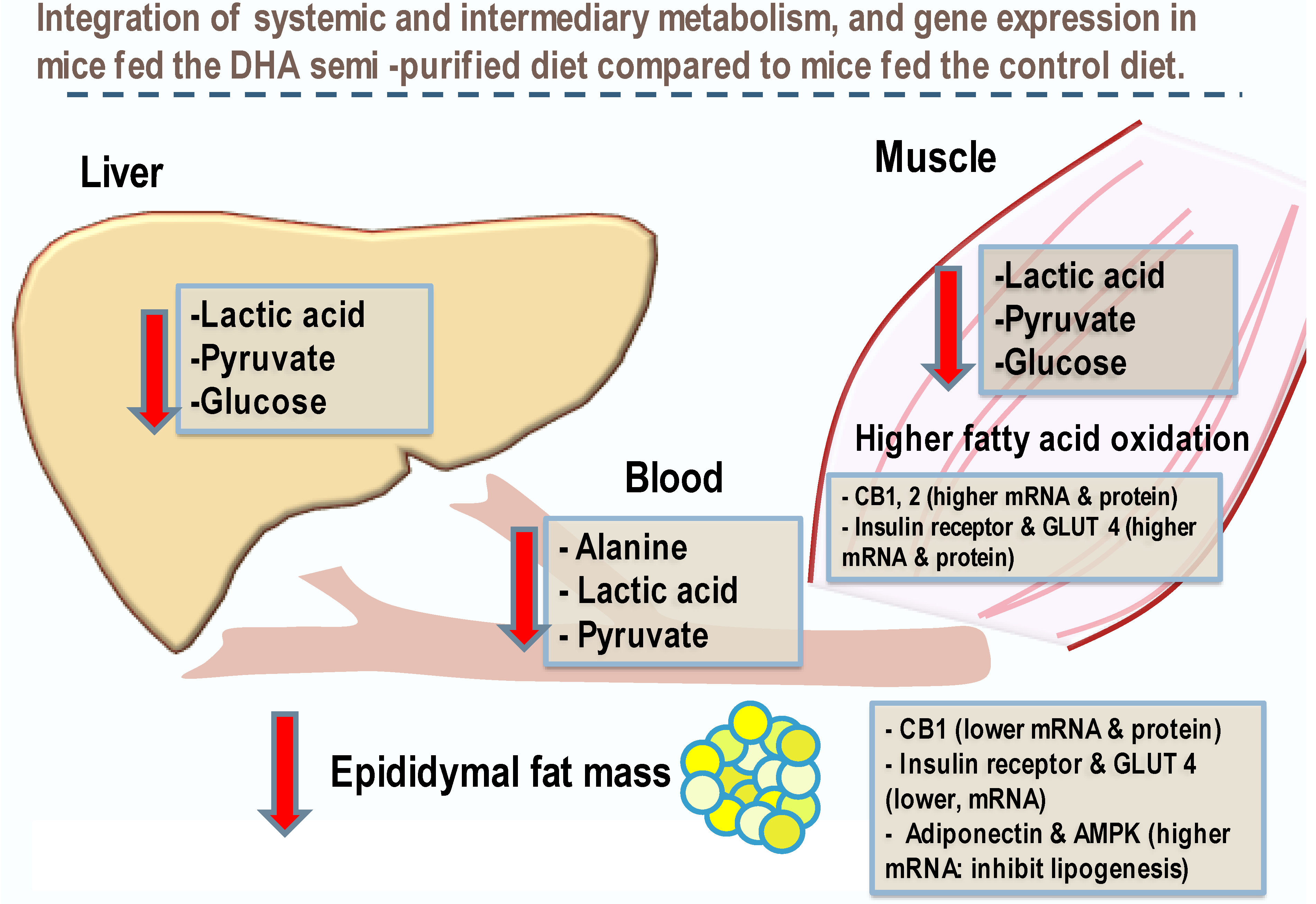 Nutrients 15 02679 g003