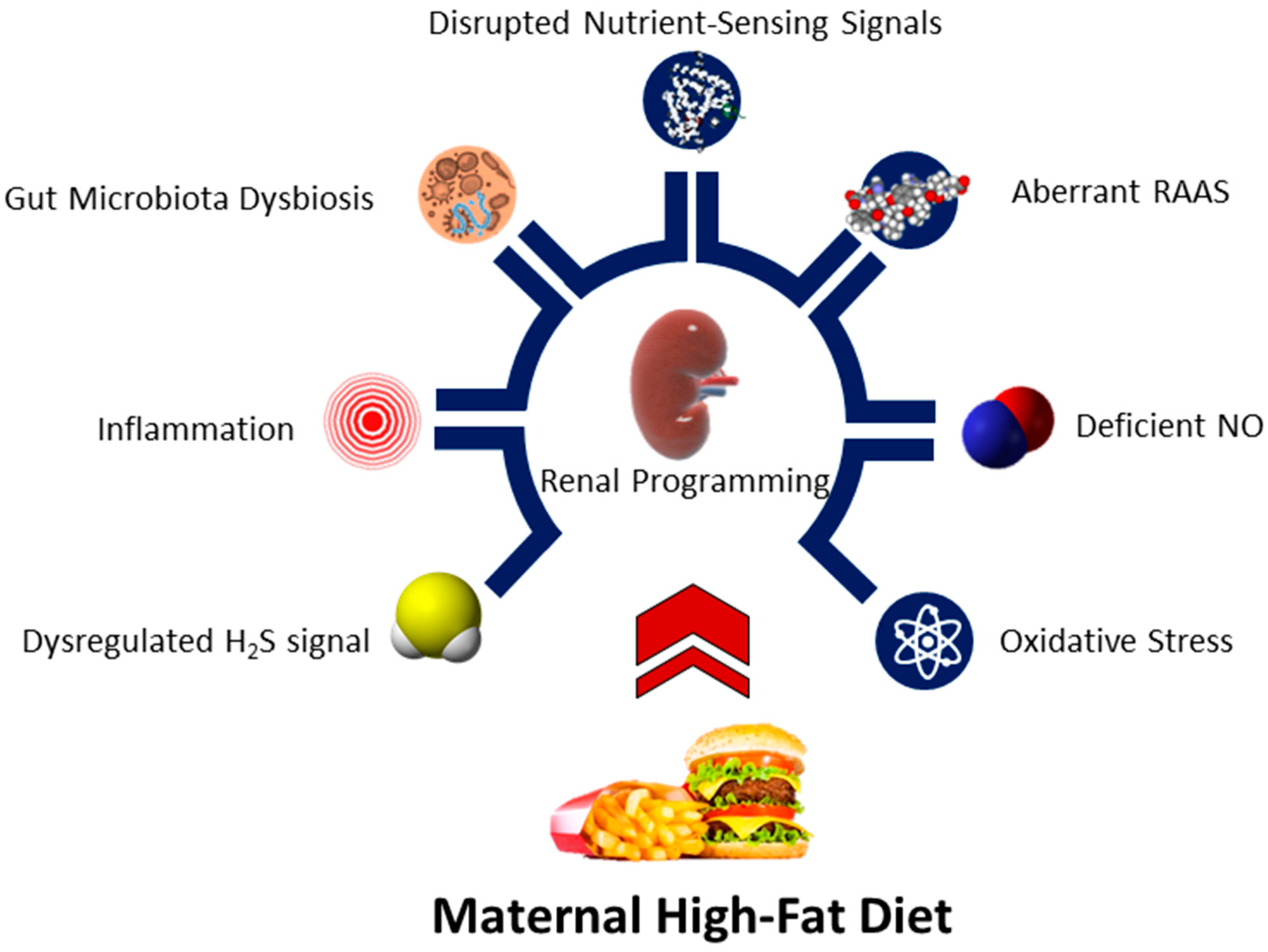 Nutrients 15 02698 g002 Nutrients 15 02698 g002