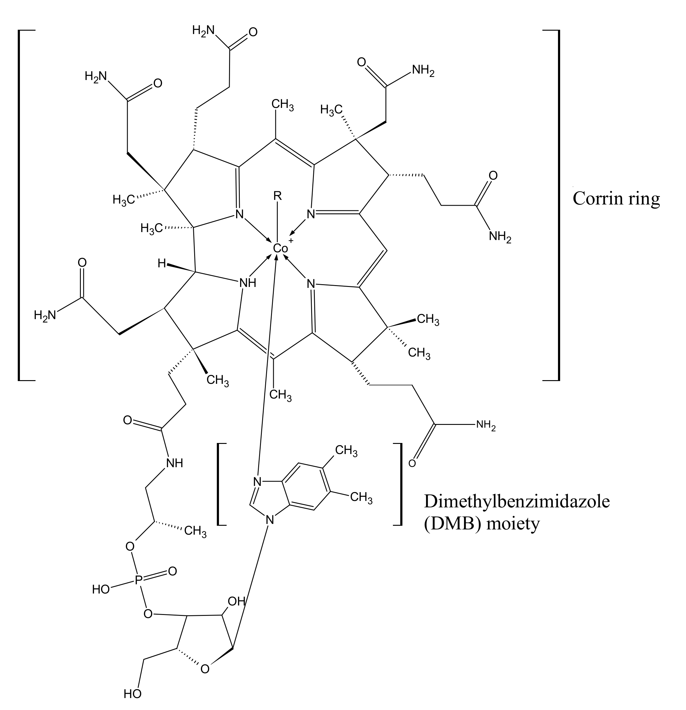 Nutrients 15 02734 g001