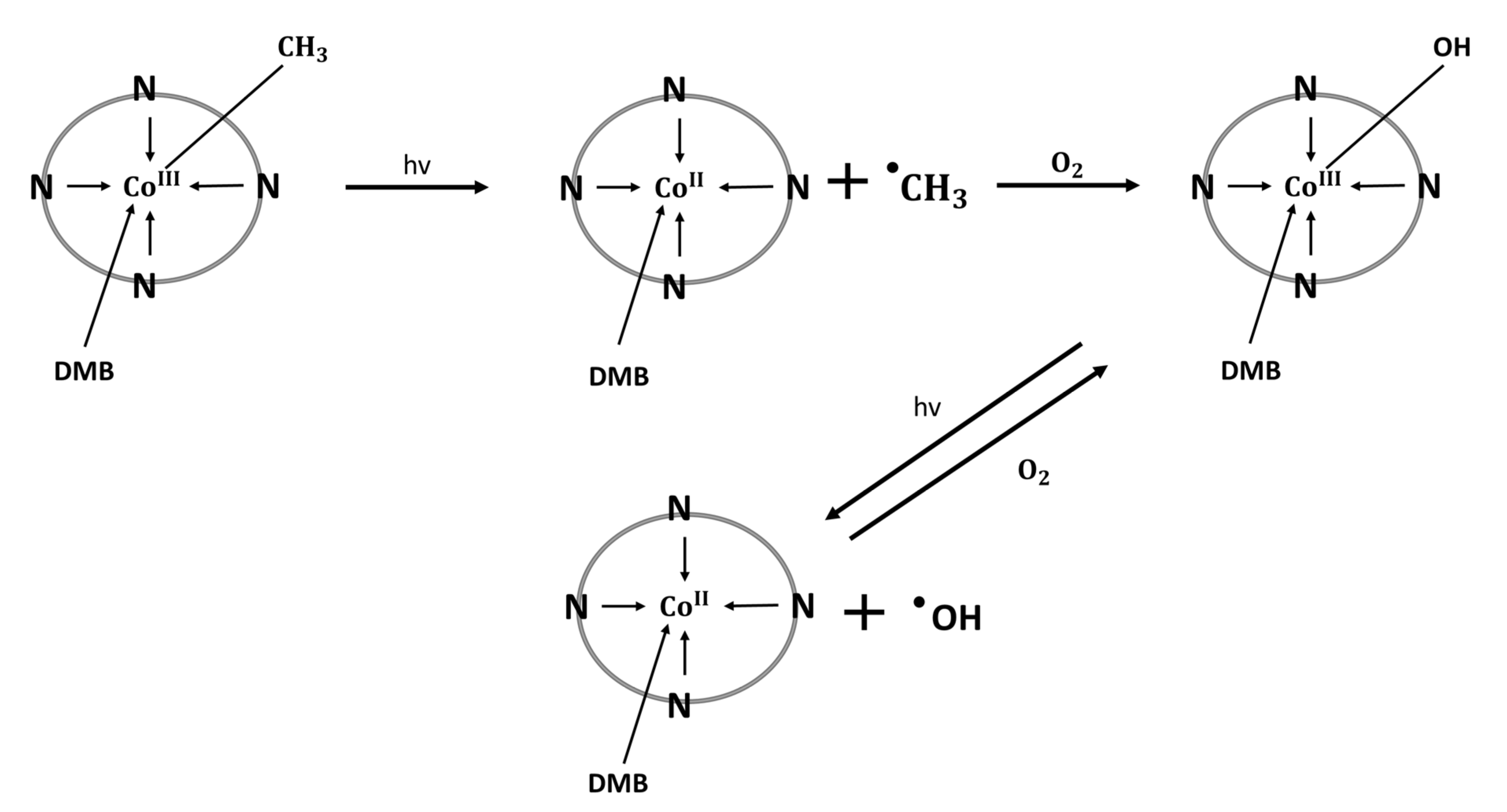 Nutrients 15 02734 g003