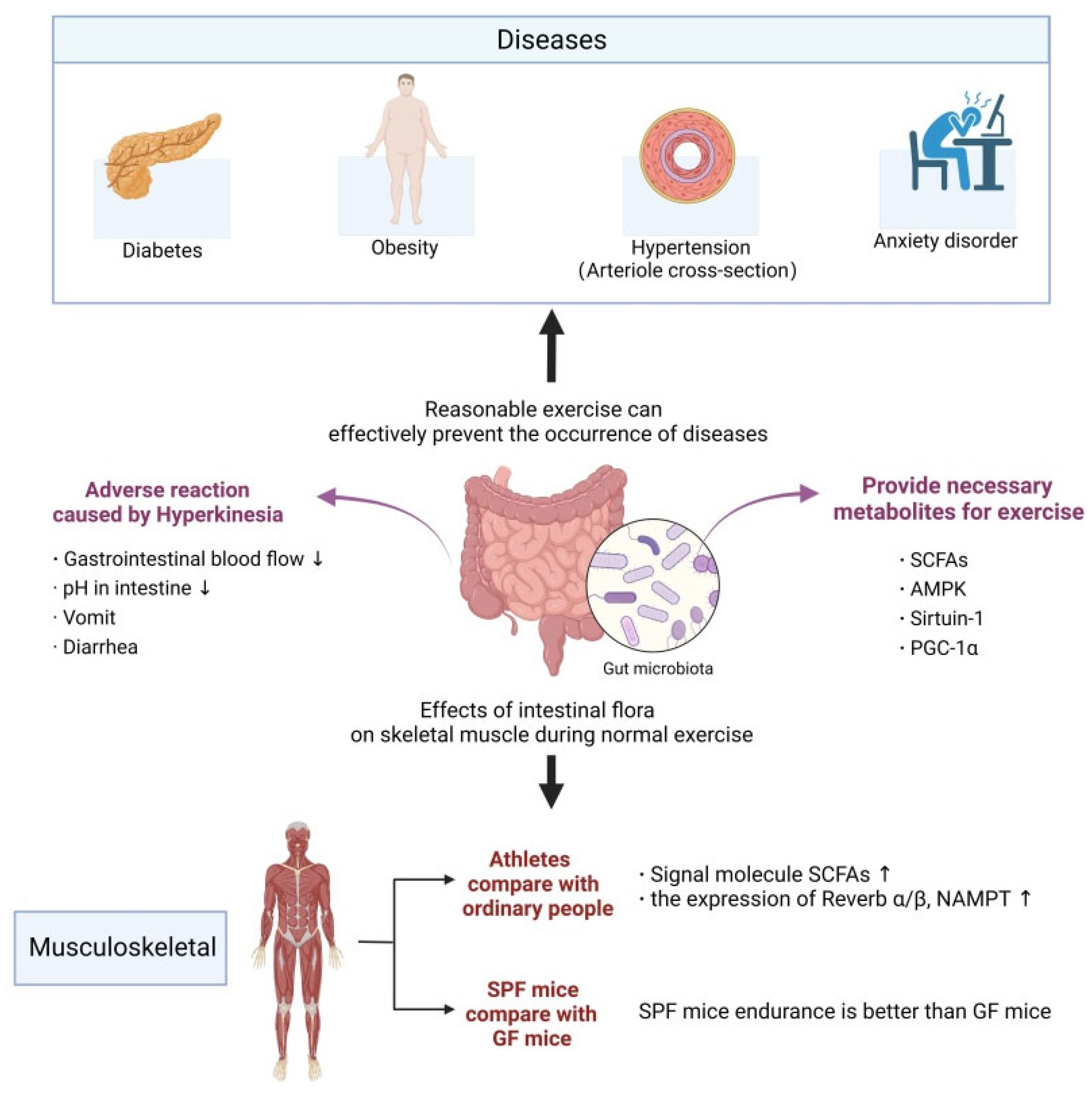 Nutrients 15 02743 g002