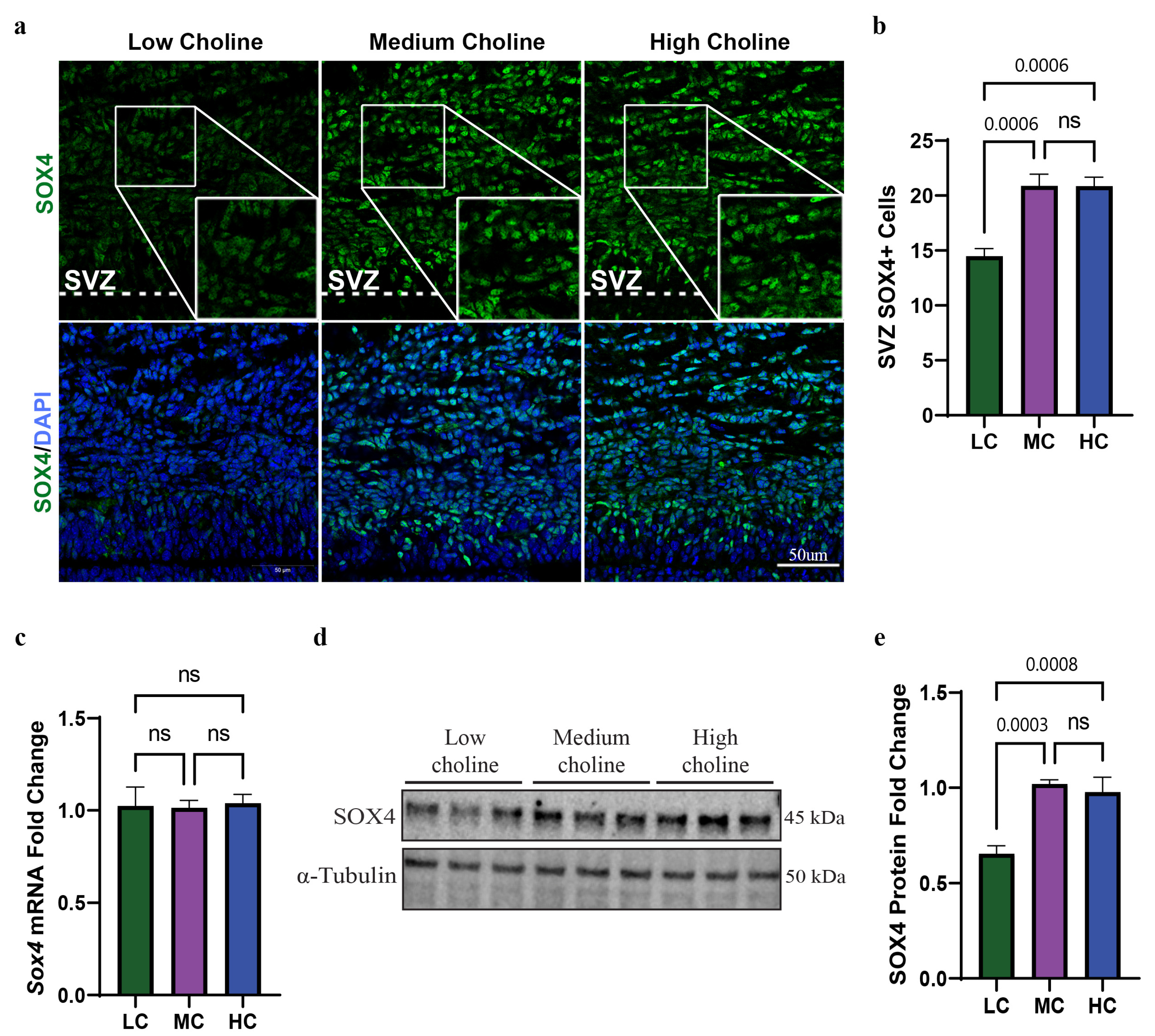 Nutrients 15 02774 g001 Nutrients 15 02774 g001