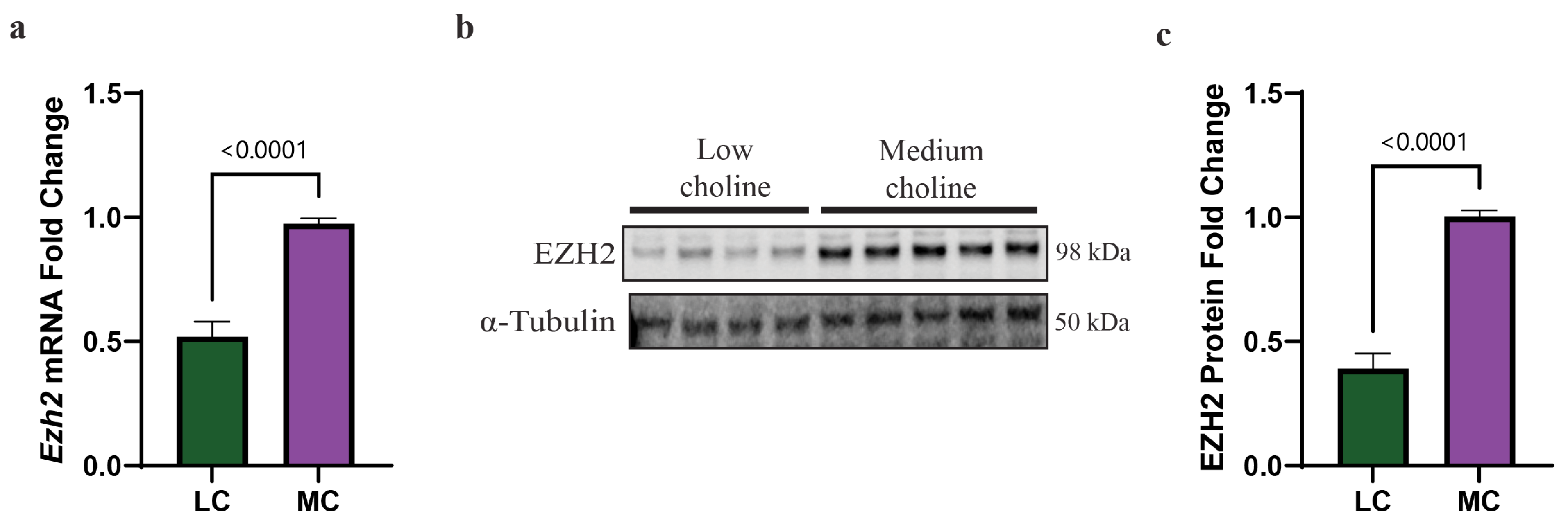 Nutrients 15 02774 g003 Nutrients 15 02774 g003