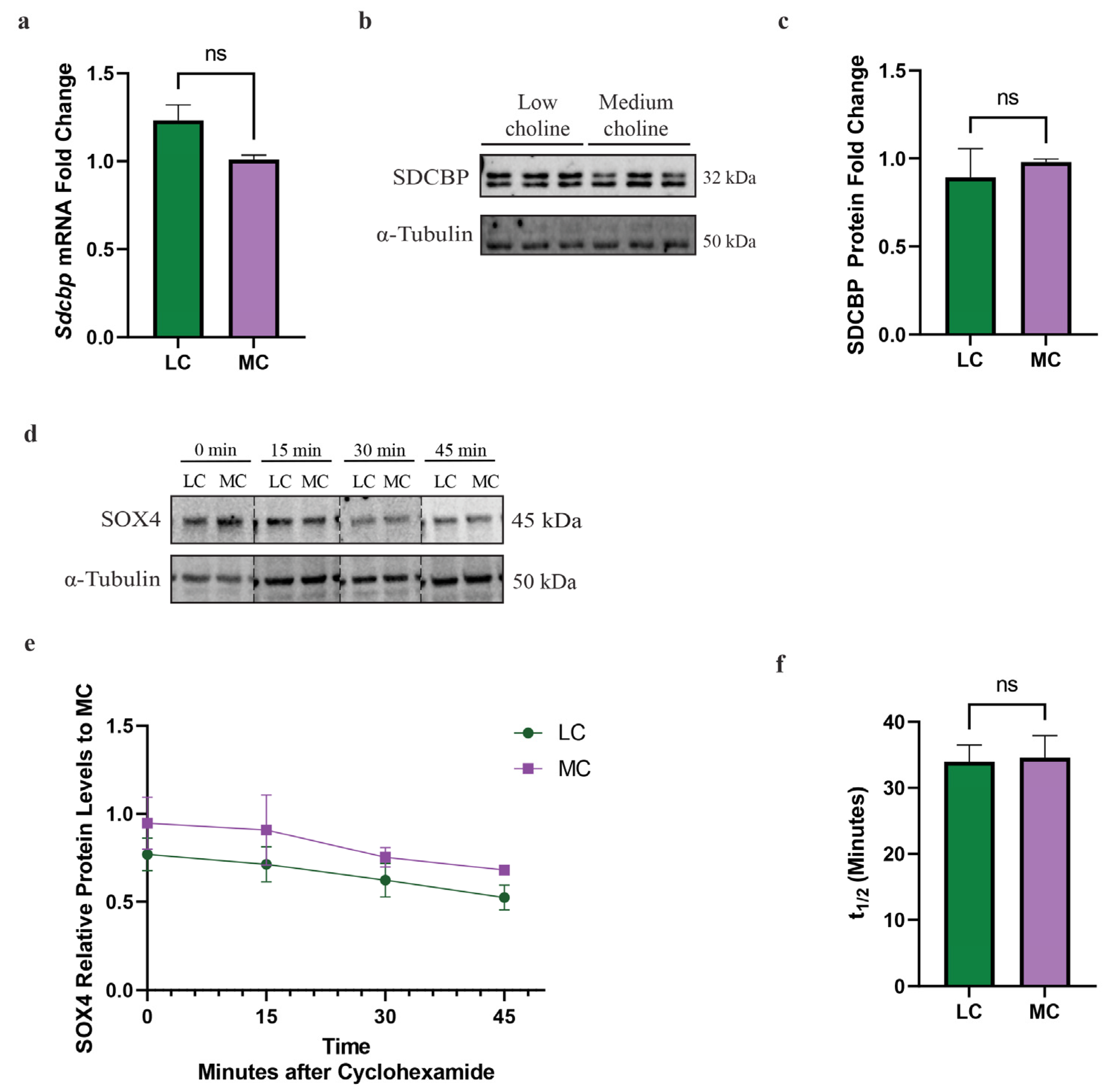 Nutrients 15 02774 g004 Nutrients 15 02774 g004