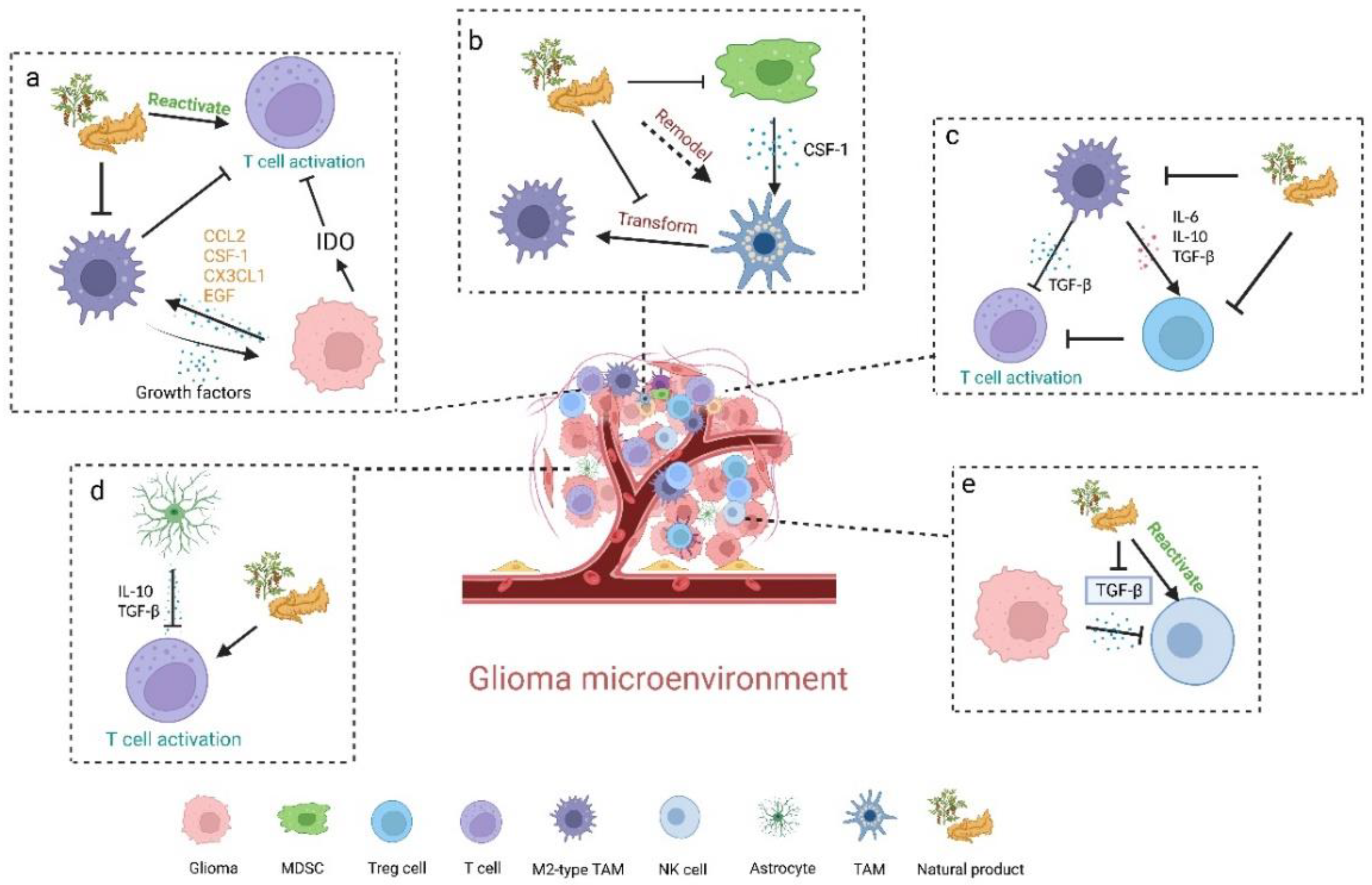 Nutrients 15 02795 g002