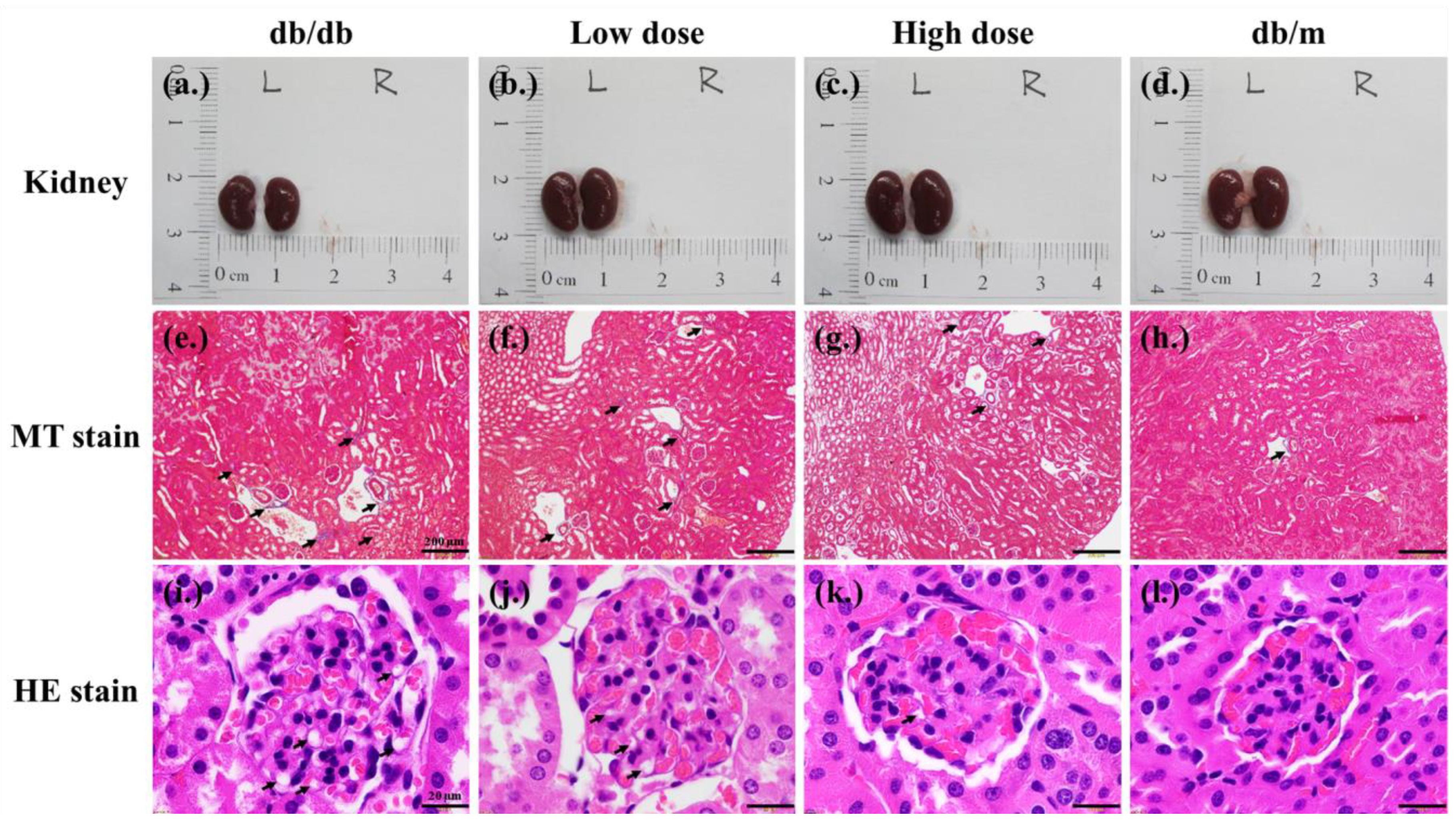Nutrients 15 02803 g006