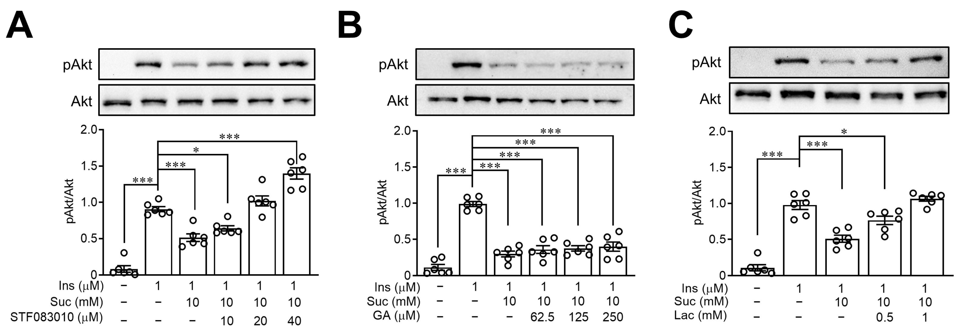 Nutrients 15 02814 g006