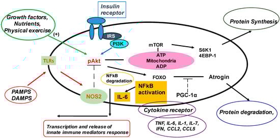 Nutrients 15 02832 g001