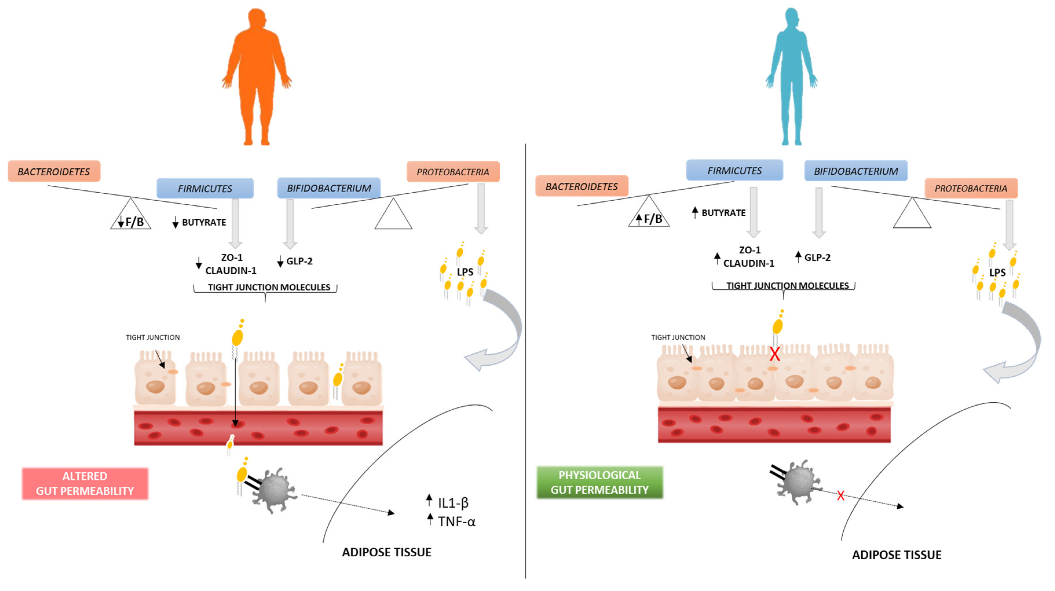 Nutrients 15 02834 g004 Nutrients 15 02834 g004