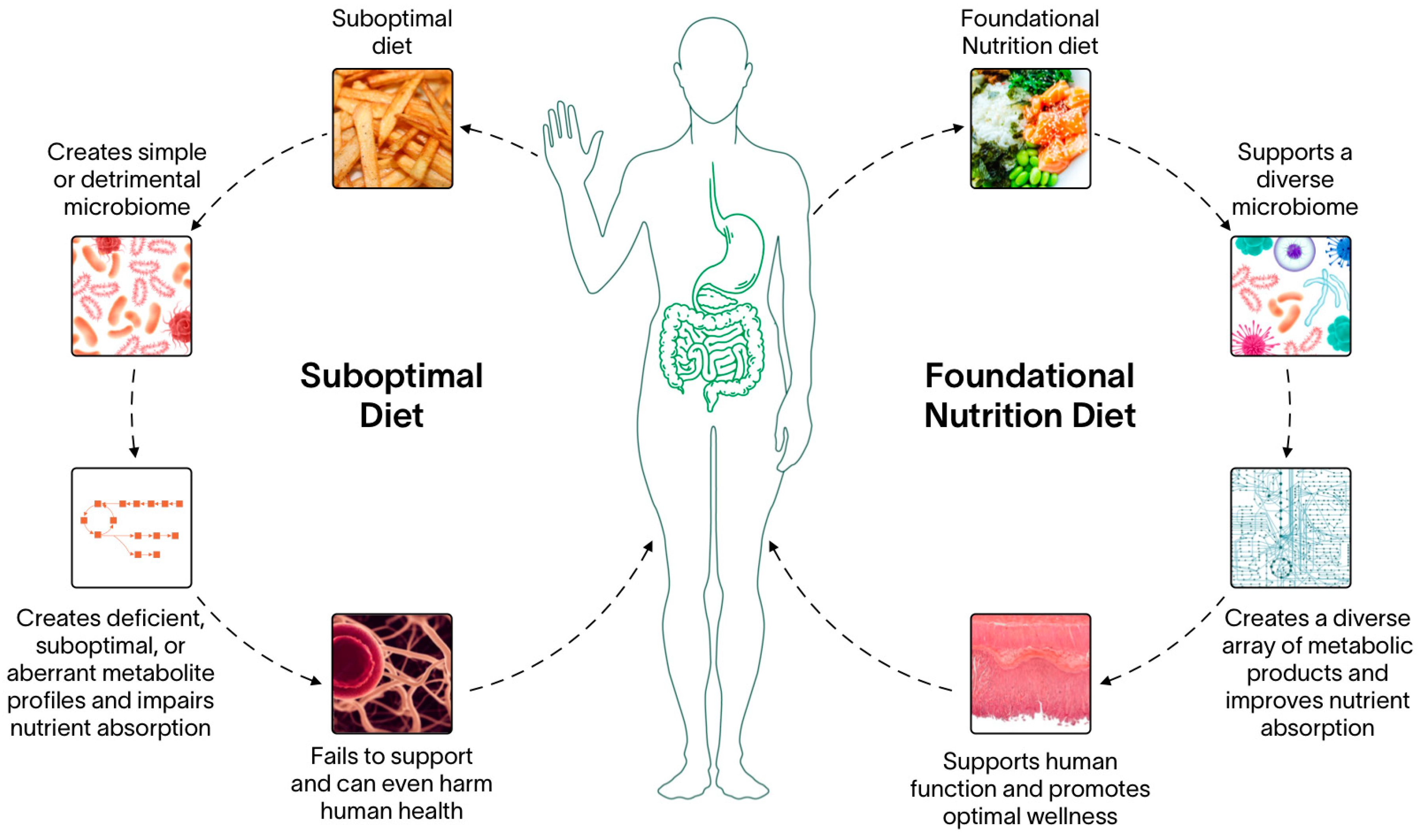 Nutrients 15 02837 g002
