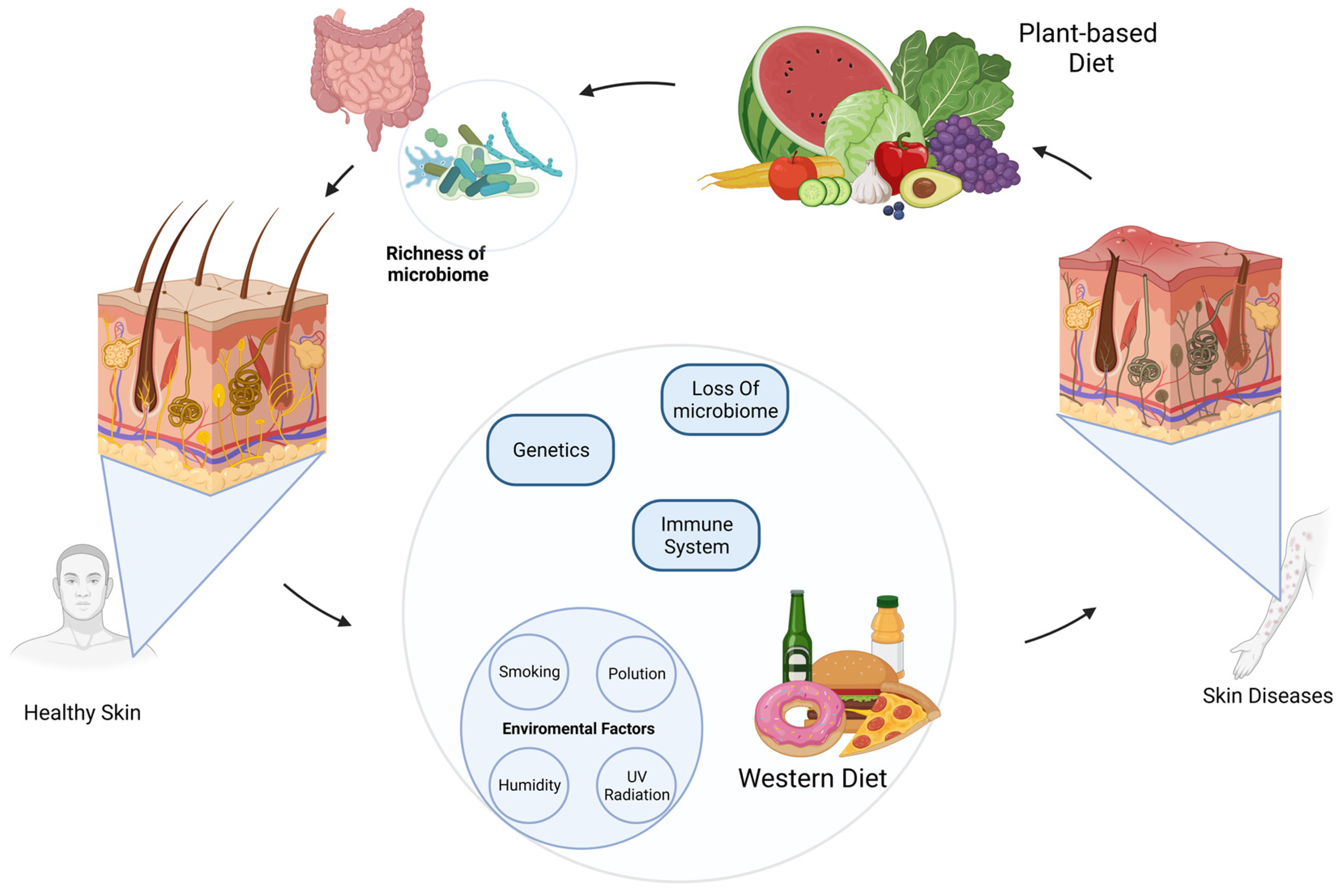Nutrients 15 02842 g001
