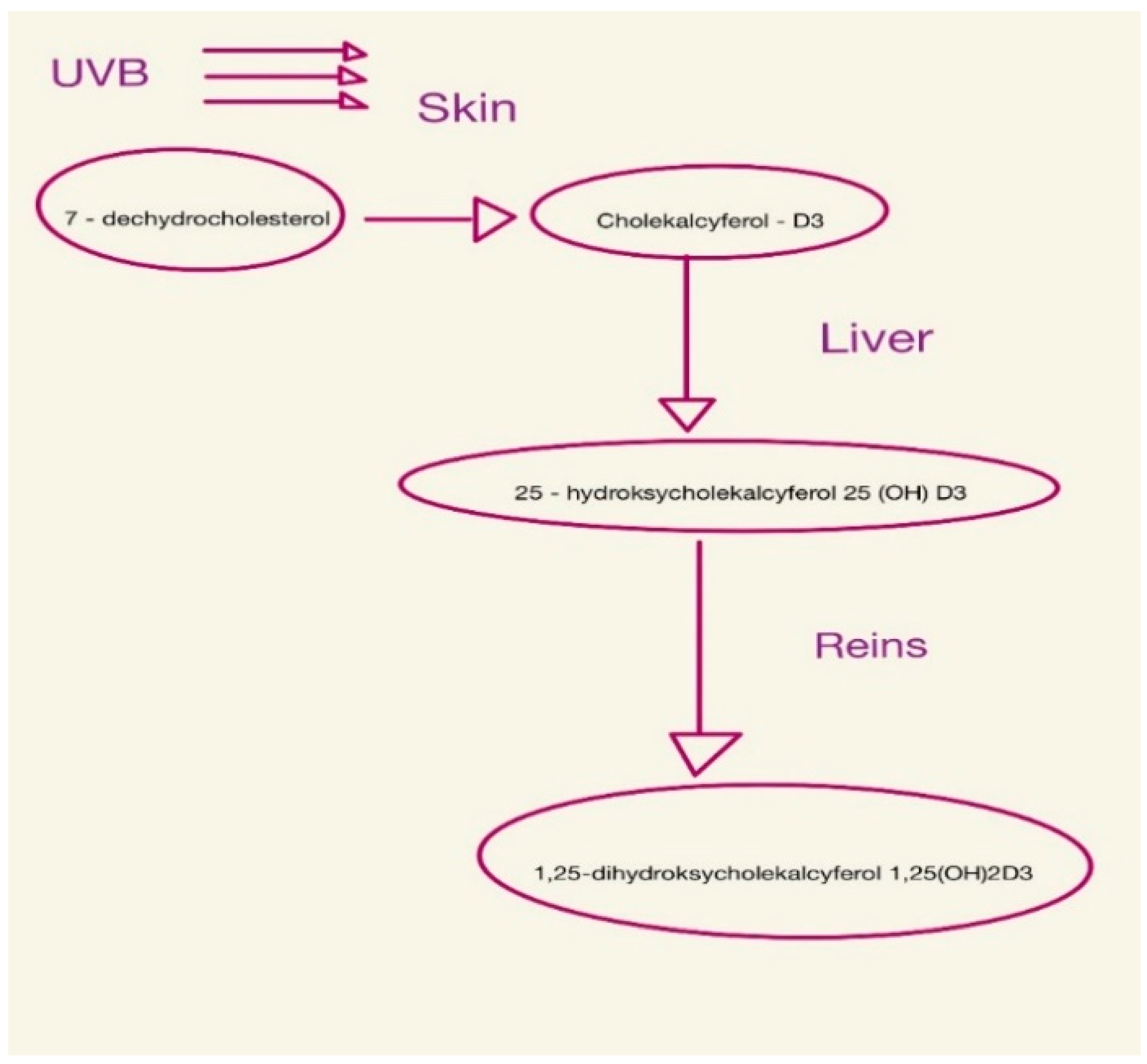Nutrients 15 02847 g001 Nutrients 15 02847 g001