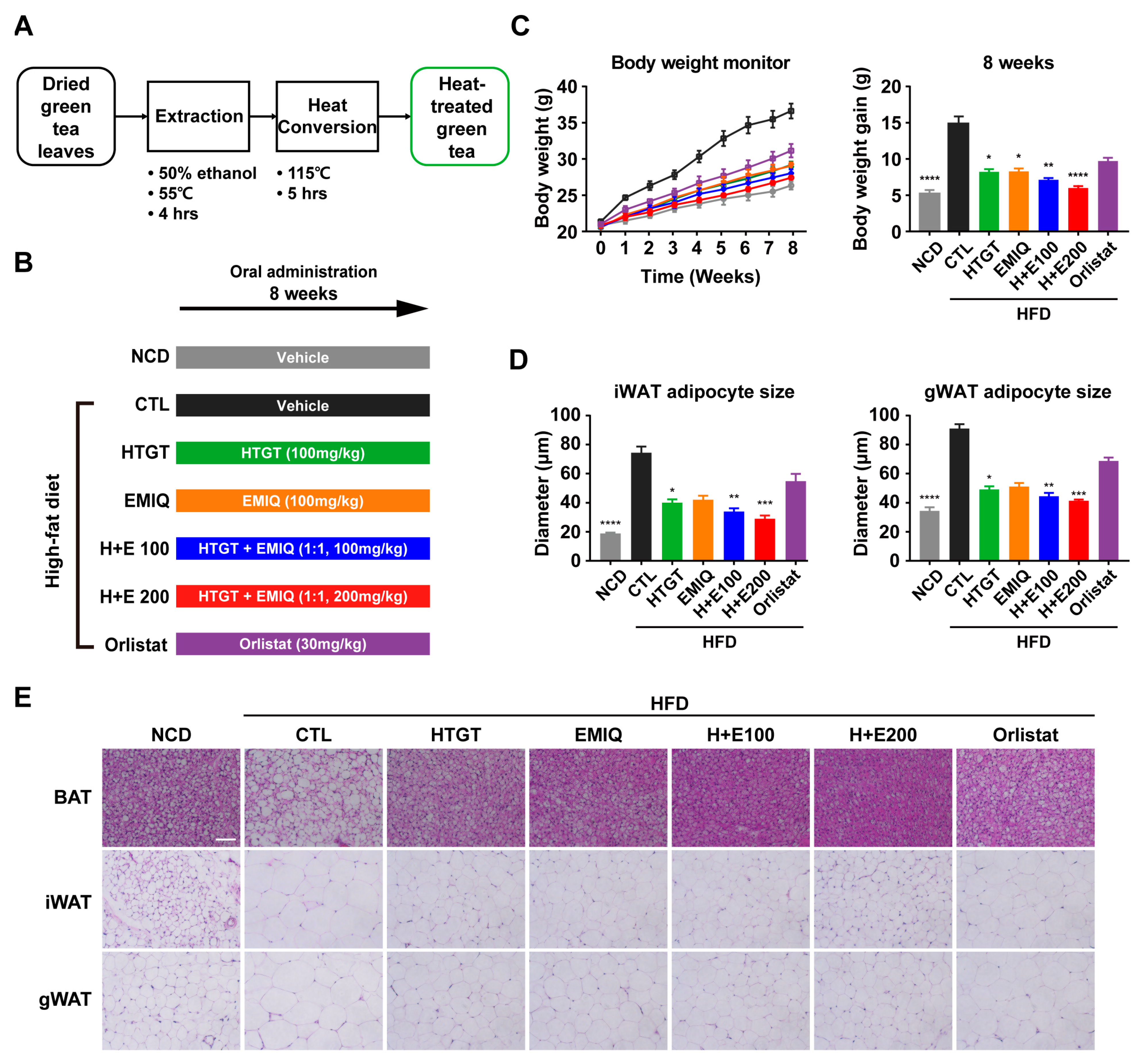 Nutrients 15 02931 g001