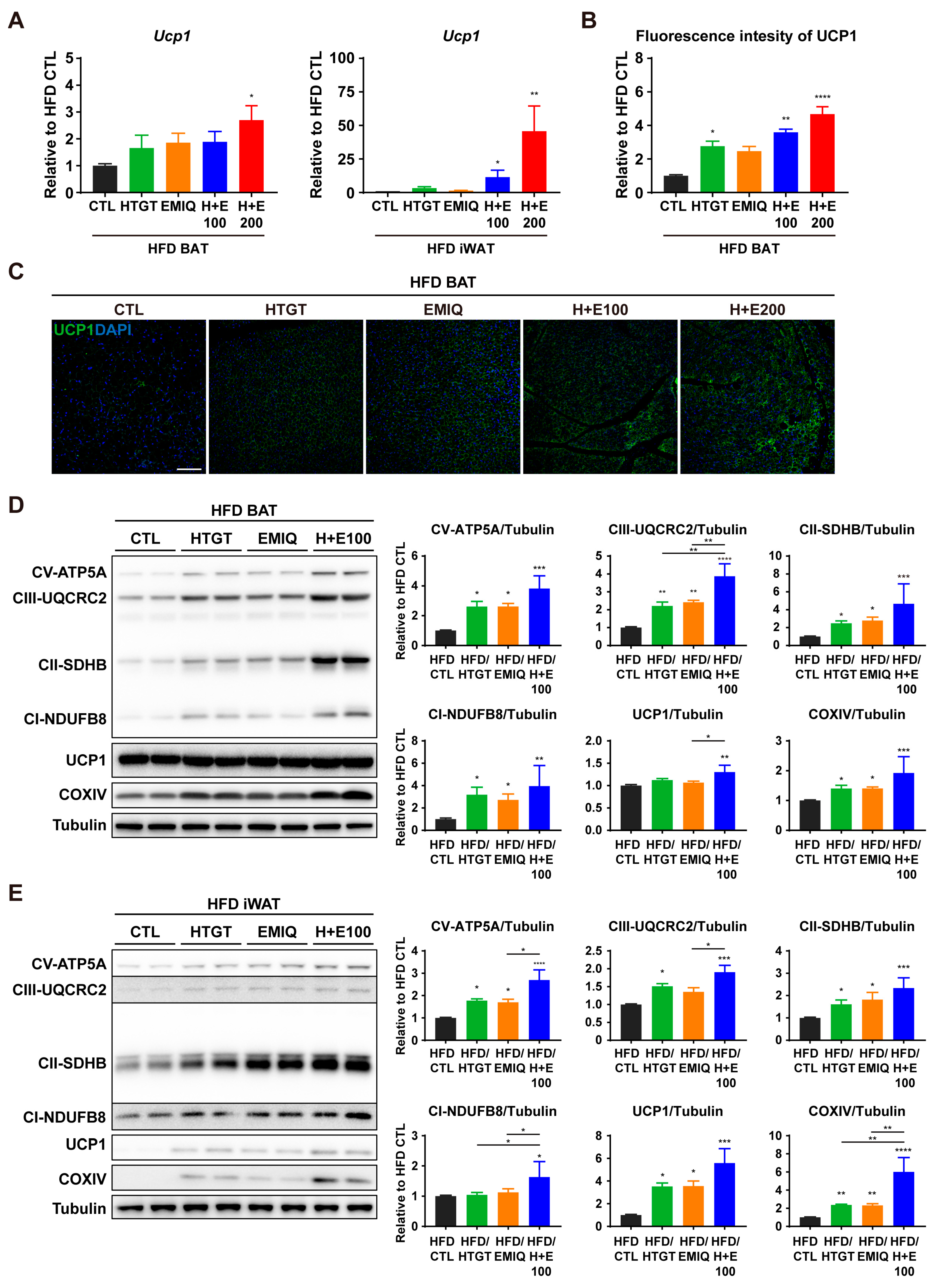 Nutrients 15 02931 g004