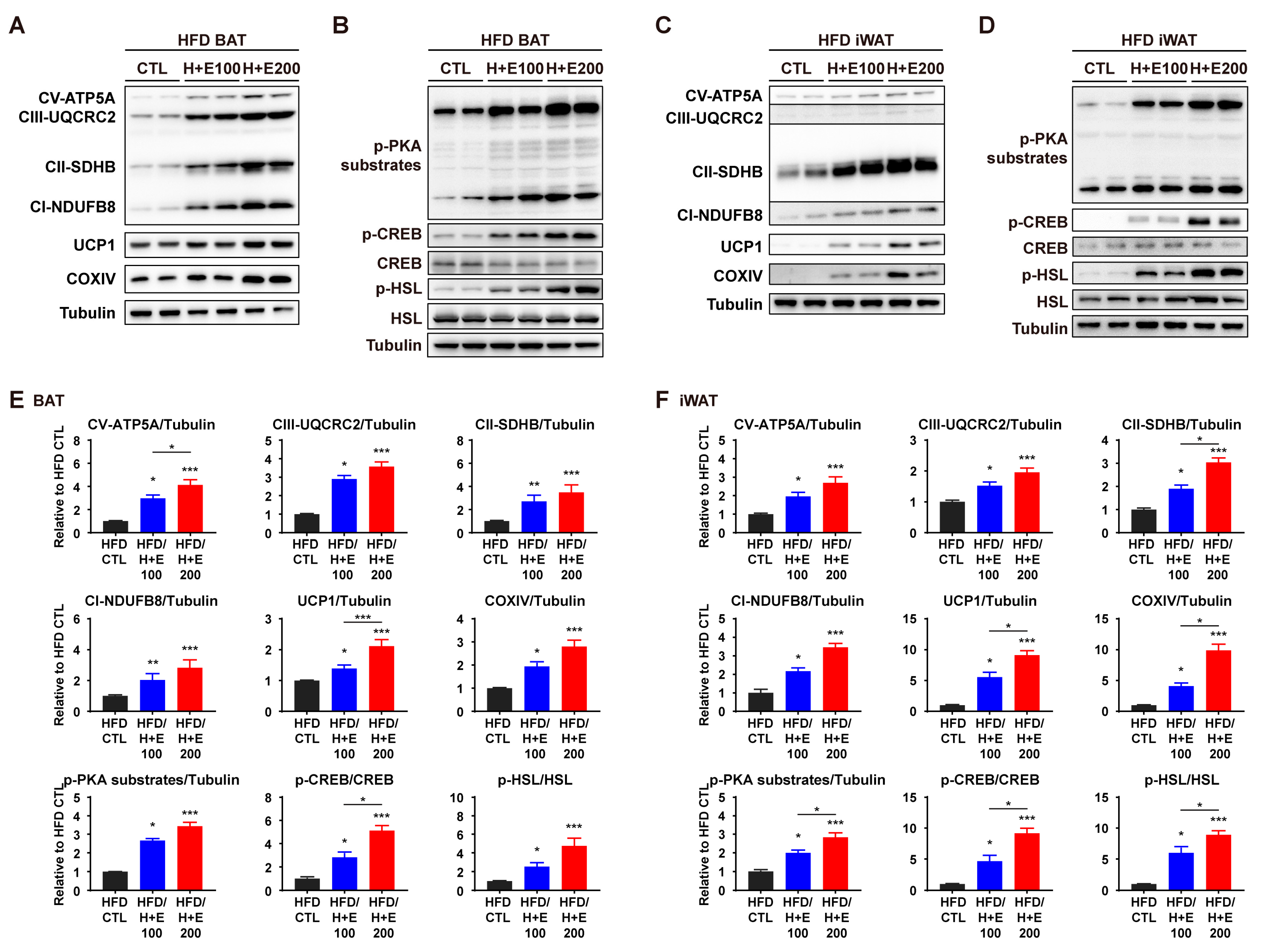 Nutrients 15 02931 g006