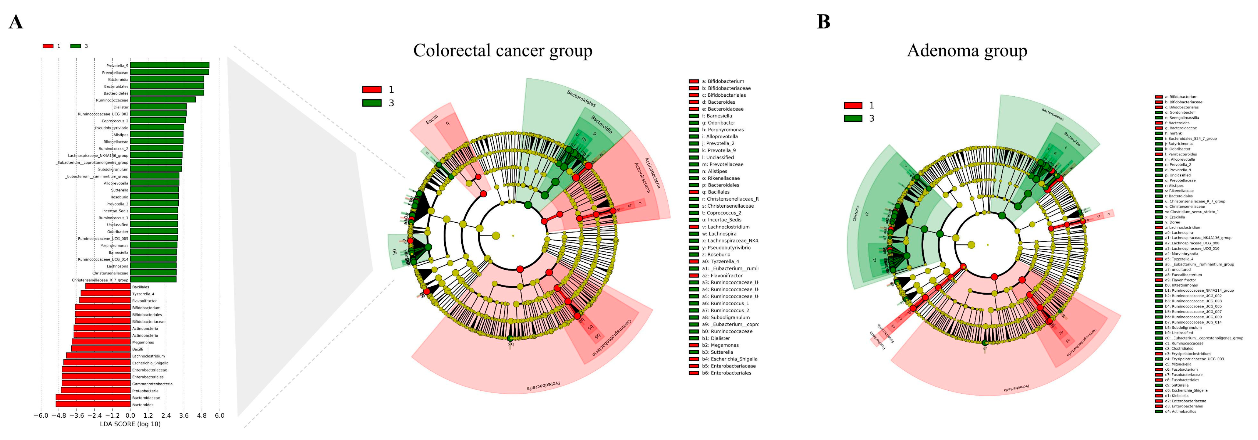 Nutrients 15 02940 g001