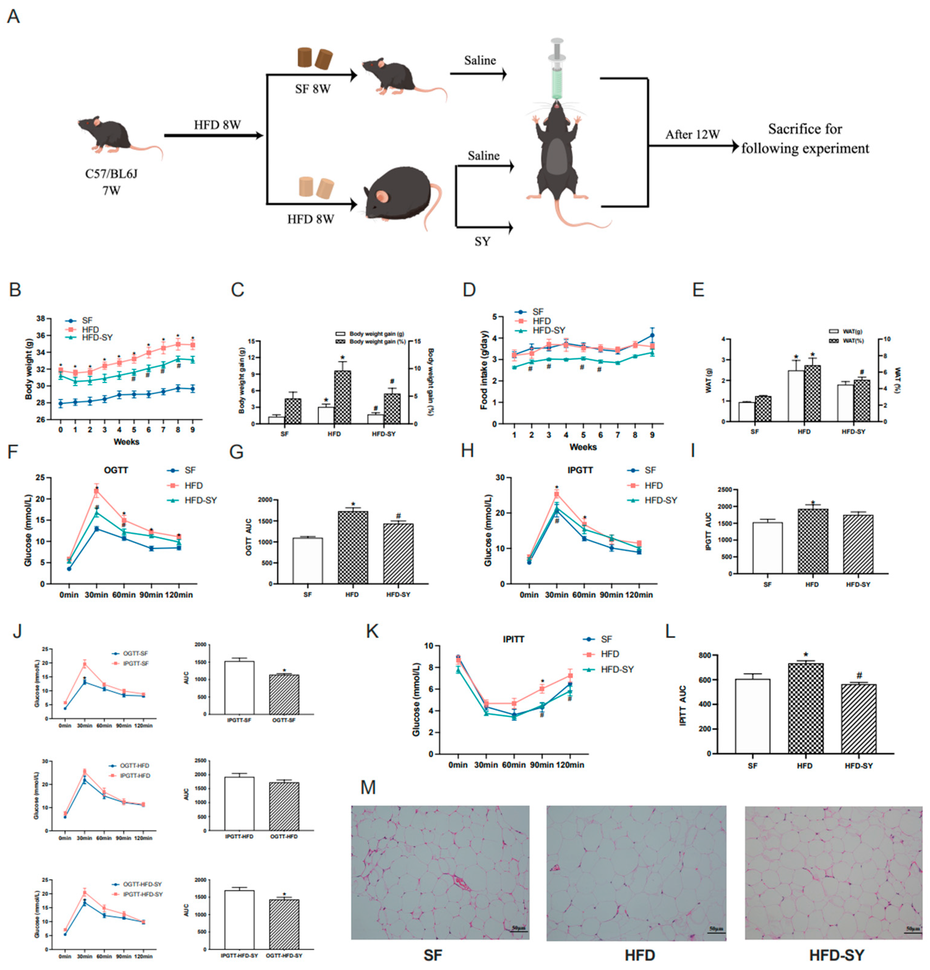 Nutrients 15 02954 g001