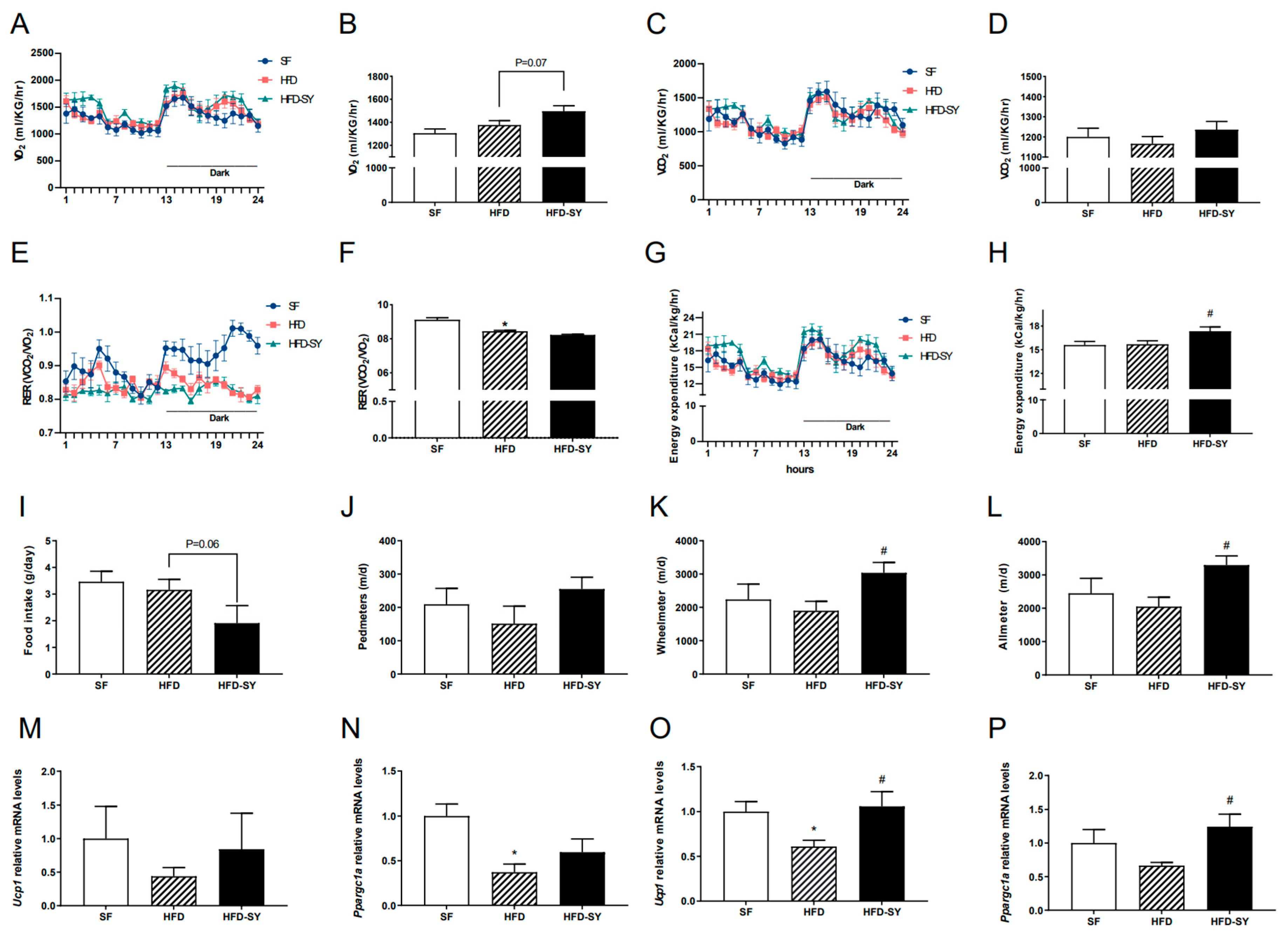 Nutrients 15 02954 g002