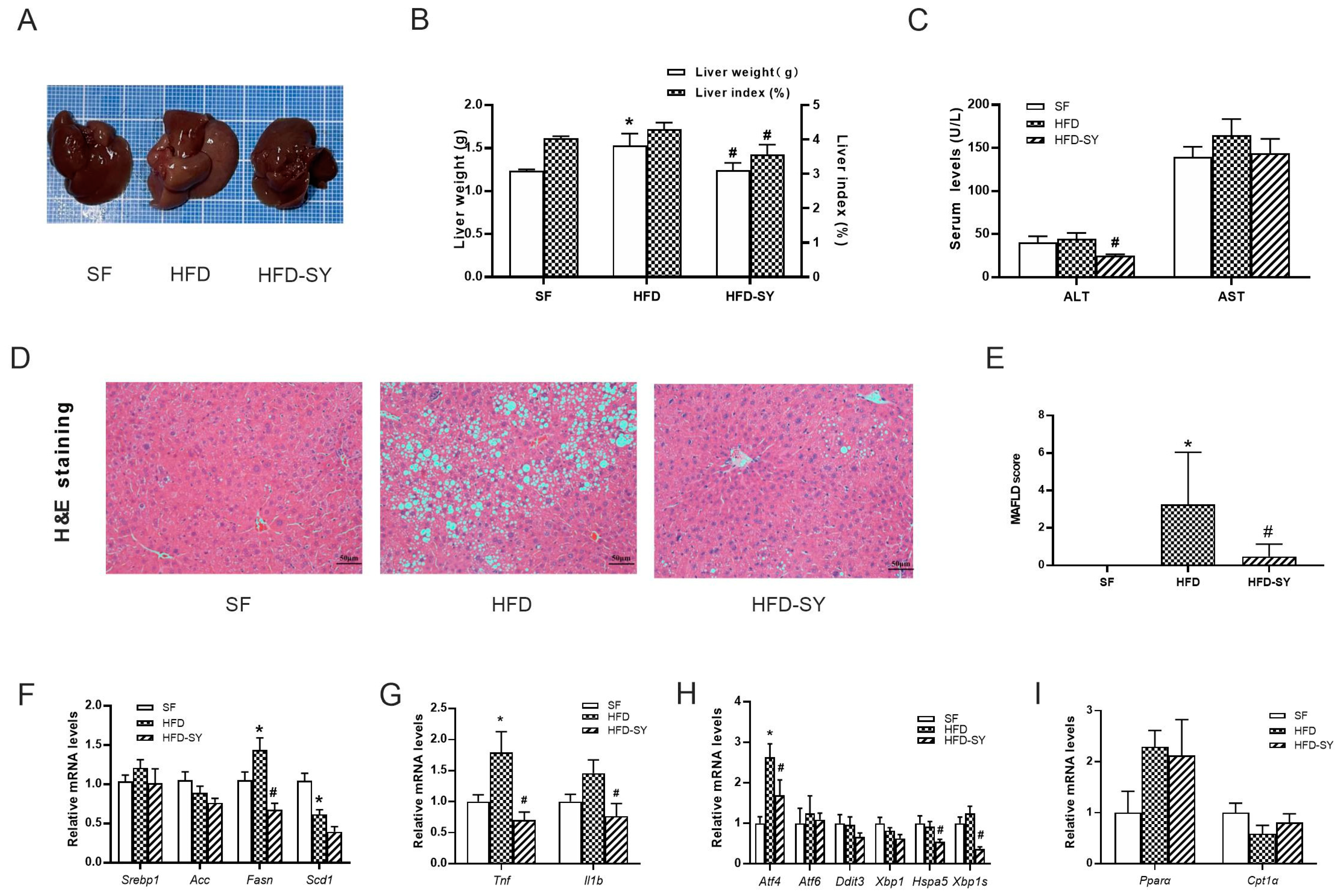 Nutrients 15 02954 g003