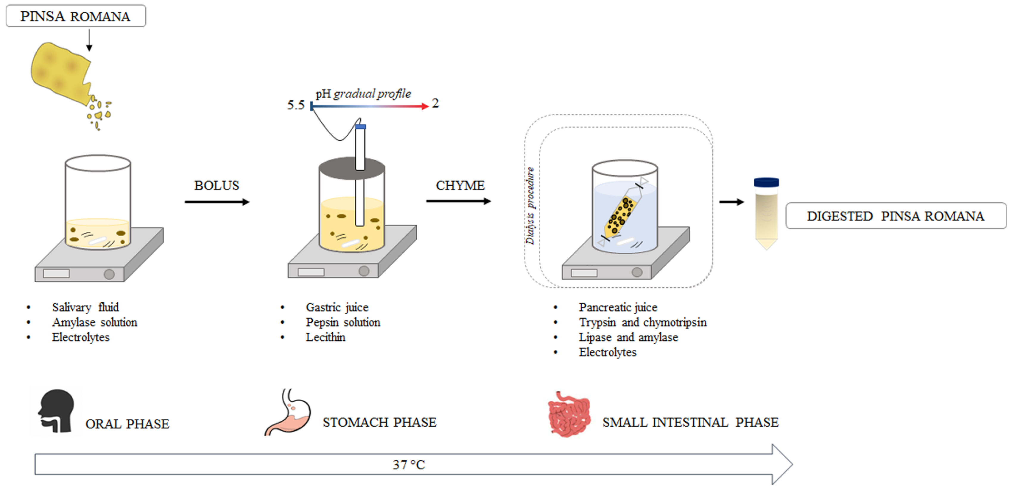 Nutrients 15 02958 g002