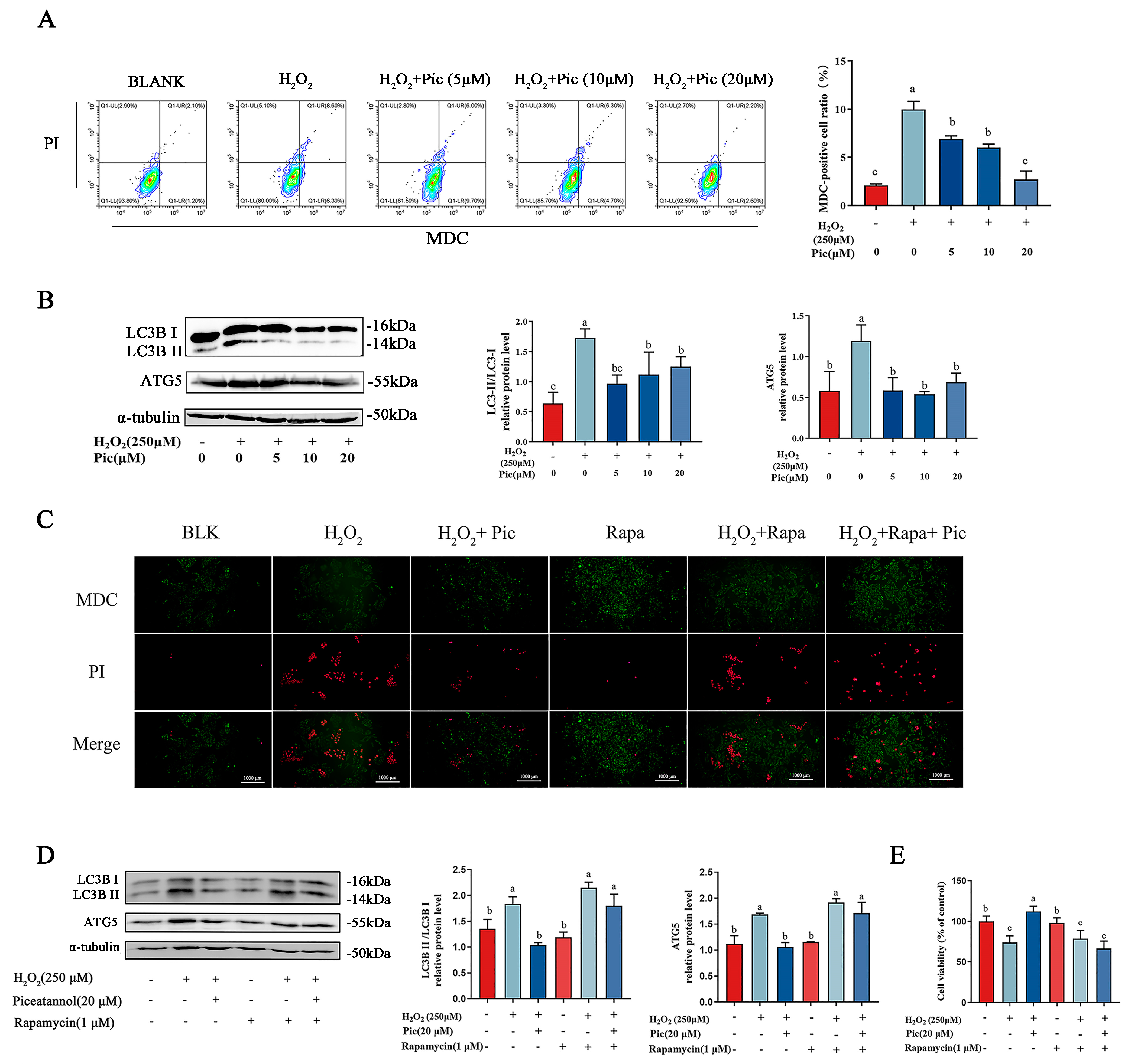 Nutrients 15 02973 g002