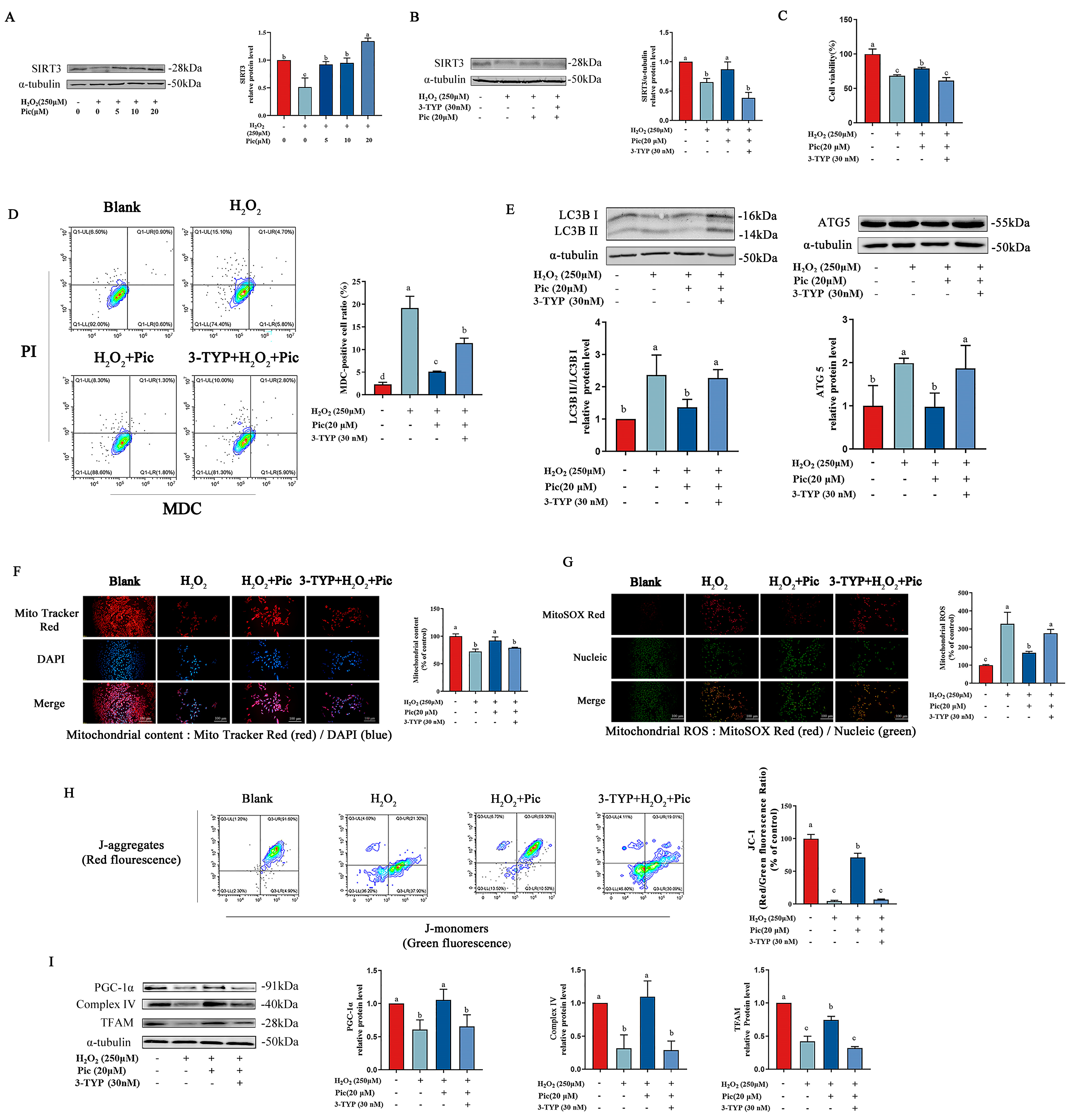 Nutrients 15 02973 g004