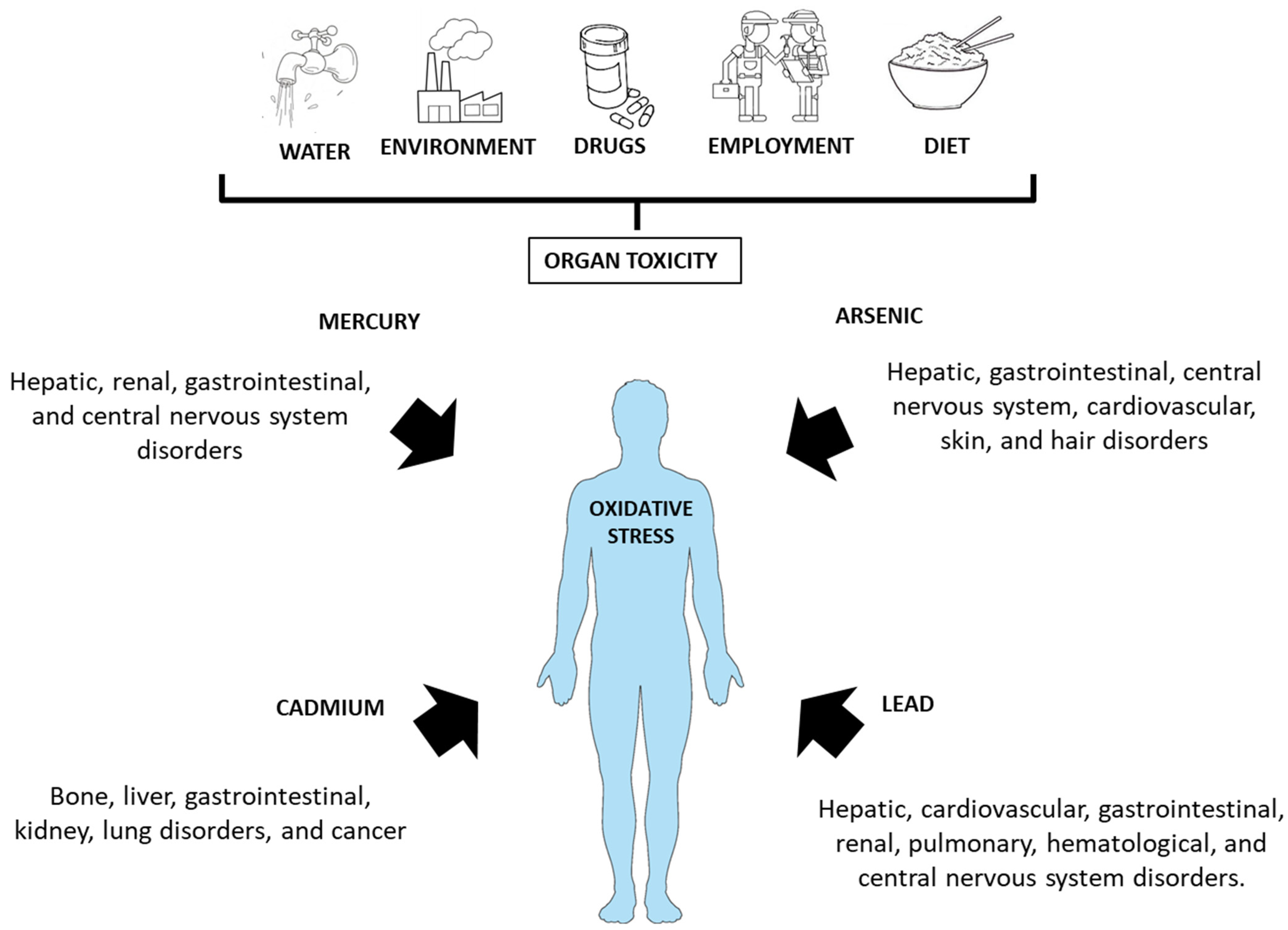 Nutrients 15 02975 g001 Nutrients 15 02975 g001