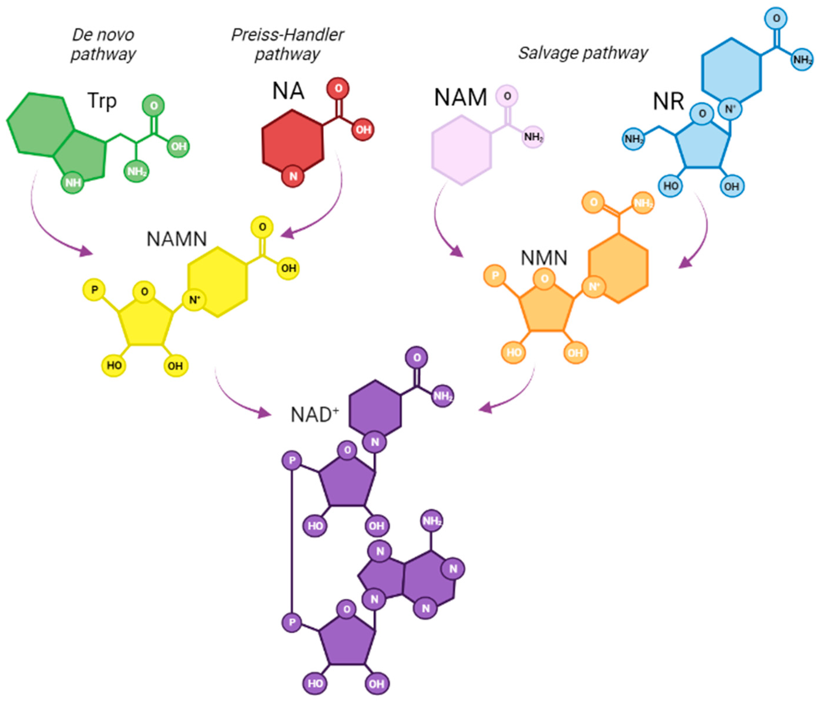Nutrients 15 02992 g001 Nutrients 15 02992 g001