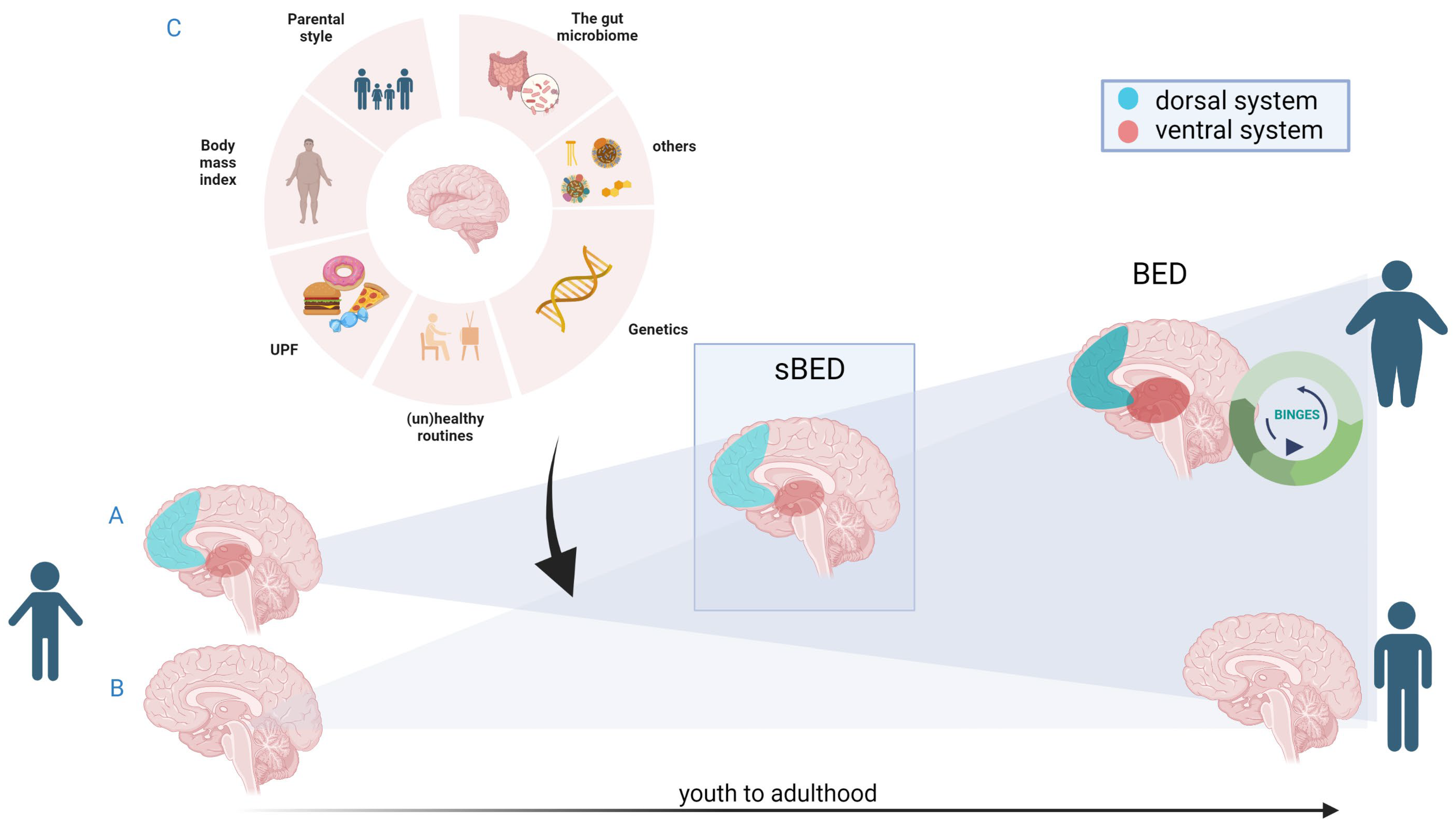 Nutrients 15 02994 g001